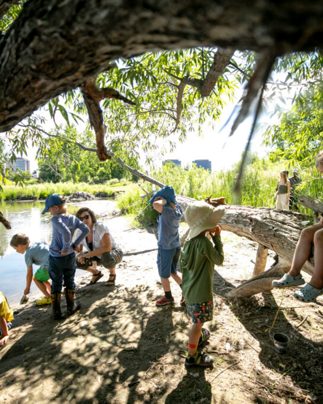 One of the things families tell us they appreciate most, once their child is settled and thriving, is the predictability of it. Each day at Nature School moves in a steady rhythm: child-led exploration opens wide, then we gather back in community, then the world opens again. Morning to afternoon, the day breathes in and out.
This is not just a scheduling preference. It is the core of how young children learn. Researchers in early childhood development consistently find that predictable rituals and routines give young brains what they need to take risks, stay curious, and grow. When a child can feel what is coming next, they do not have to spend energy on vigilance. They get to spend it on discovery. The routine is the secure base from which real learning becomes possible.
Joining Nature School isn't just enrolling in a preschool. It's becoming part of something.
Fall enrollment is open. DM us or link in bio. 🫶🏽
#NatureSchoolCooperative #WorkerOwned #PayWhatYouCan #InclusiveEd #NatureBasedLearning #DenverFamilies #CoopLife #CommunitySchool #ForestSchool #EquityInEducation #DenverPreschool #OutdoorEducation