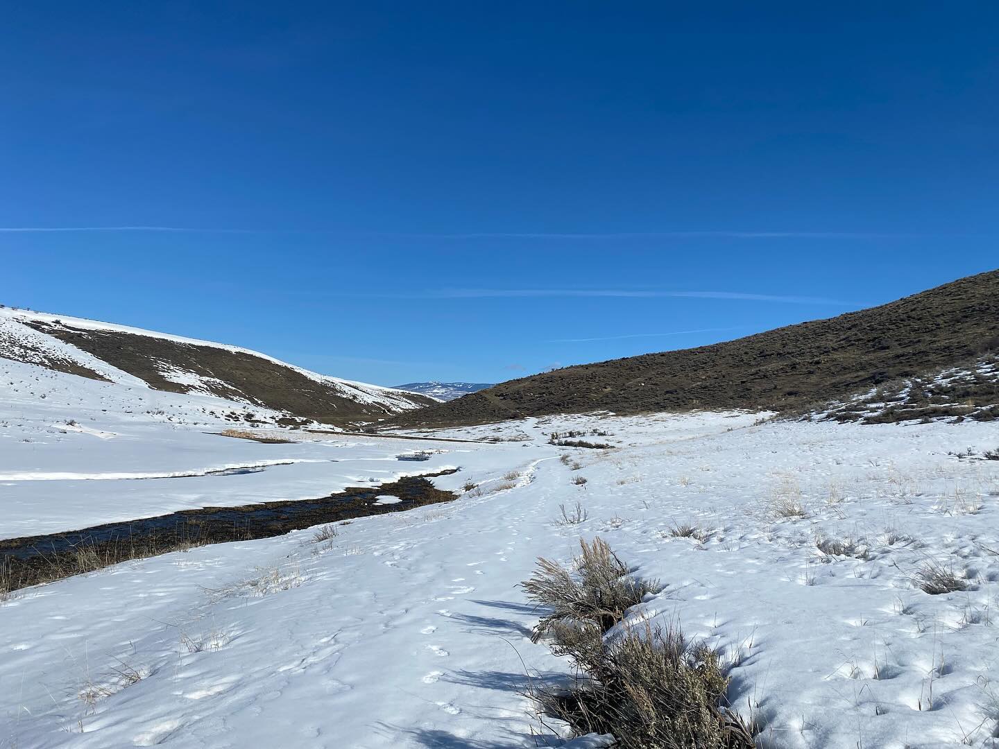 Plenty of snow still at the ranch, but little green grass is starting to pop up. Winter storm warning for weekend n beyond. #Spring