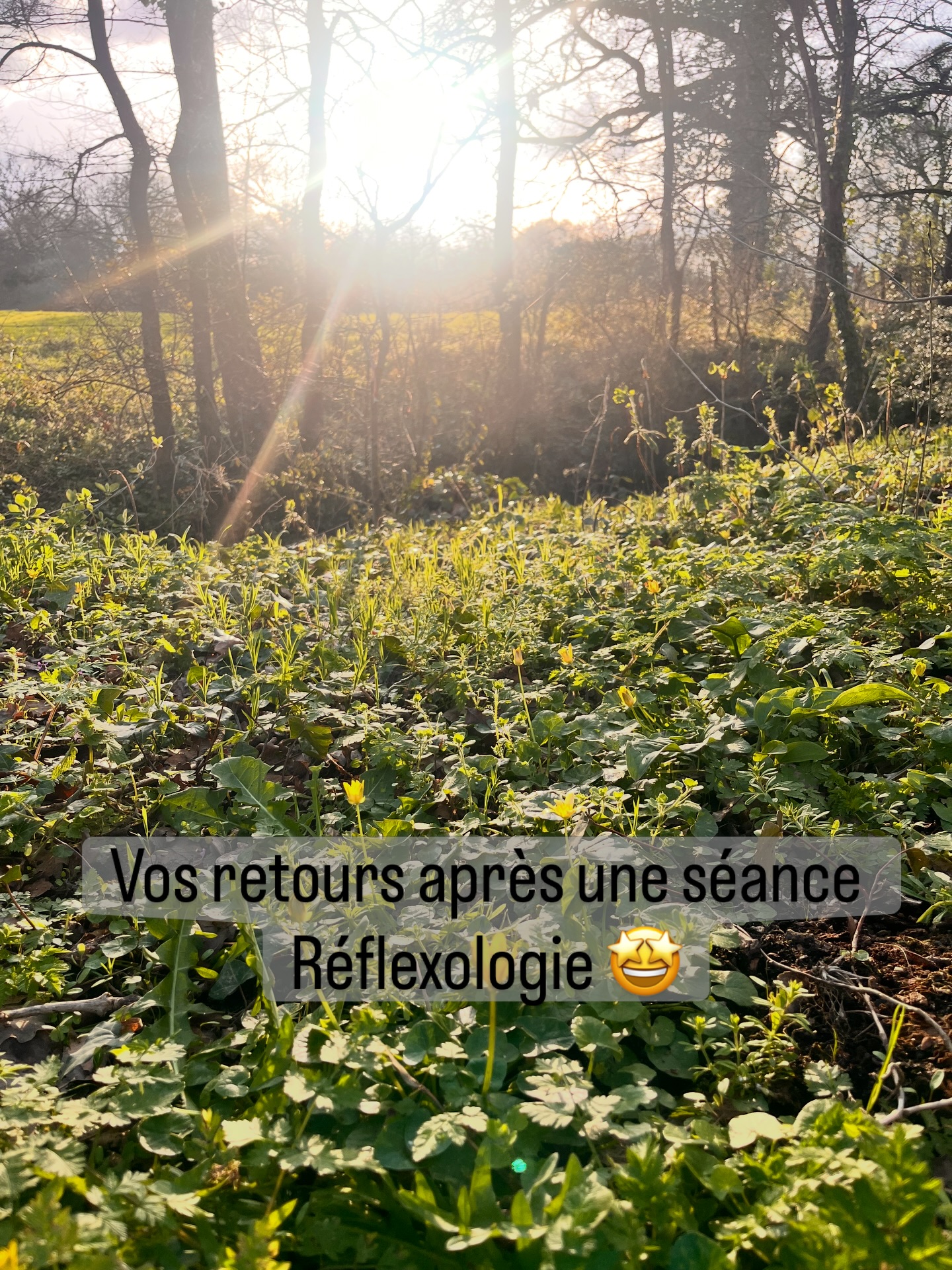 Bonjour 🔆🔆
Voici quelques retours partagés après une séance de réflexologie. 🔆
Je m’appelle Aurore Delebarre Courcoux.
Je travaille à Rennes, en Bretagne. Je suis réflexologue, praticienne en herboristerie, mais pas que. 🌱
Mon rôle est de vous accompagner vers un mieux-être grâce à la réflexologie plantaire.
En fonction des besoins, j’équilibre également l’axe cranio-sacré, grâce à une technique douce et naturelle, en effectuant de légères pressions sur le corps, grâce à la méthode Poyet, dont je suis certifiée par l’école ETIMI.
Je vous aide à retrouver votre axe, votre énergie et à contribuer à vous sentir mieux.
J’ai la conviction profonde que la vie est belle, malgré les tempêtes à traverser. Optimiste et à l’écoute, chaque séance en réflexologie est une nouvelle rencontre, un temps pour mettre « les mots sur les maux » ou tout simplement pour se ressourcer et ne pas s’oublier. À bientôt 🔆