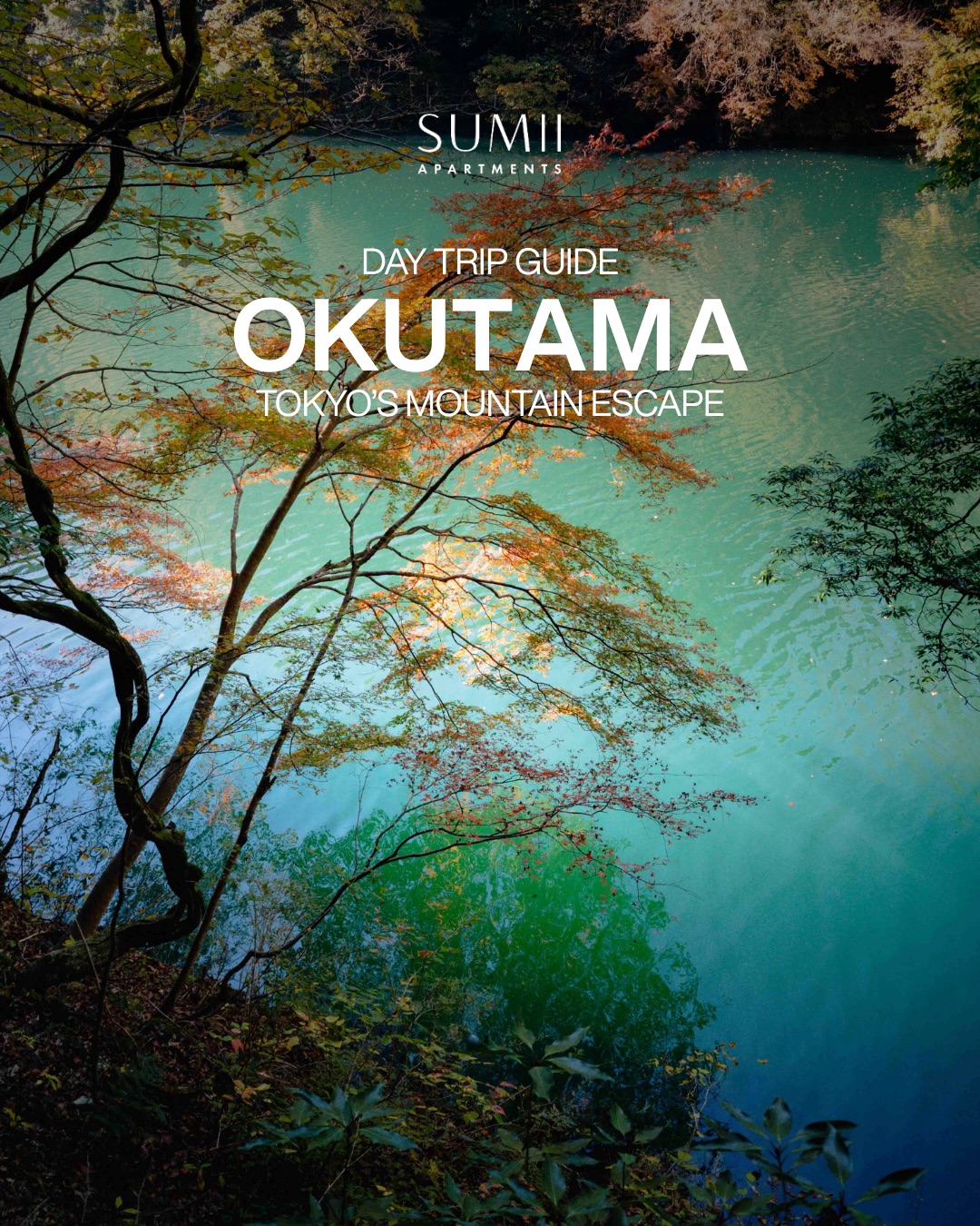 Tokyo’s mountain escape is closer than you think. 🏔️
Okutama sits at the far western edge of the city, surrounded by forested mountains, clear rivers, limestone caves and some of the best craft beer you’ll find anywhere in Tokyo. And it’s only 90 minutes from Shinjuku.
Whether you’re hiking to a Shinto shrine, floating down the Tama River or settling in at the VERTERE taproom with a cold IPA, Okutama is one of our favorite day trip spots.
Scroll across for our full guide, including where to go, where to eat and how to get there.
Save this for your next free weekend. 🍃
#livesumii #okutama #tokyodaytrip