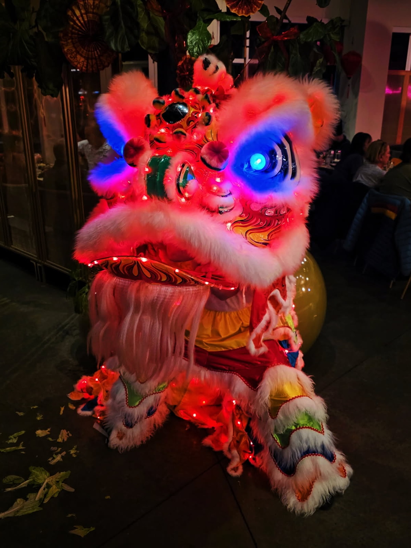 🎋Saola 2026 🦁💃🏽🔥🐎@saolaeats #shaolongacademy #junghingliondanceclub