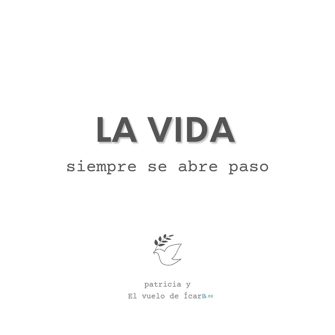 #elvuelodeicara