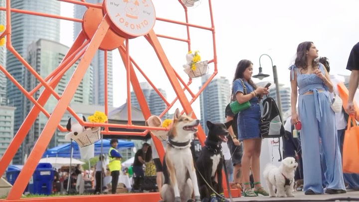 🐶 Did you come to Doggie Fest last year?!
Because it was… INSANE. 🤯
Thousands of dogs 🐕
Happy humans ❤️
Amazing vendors 🛍️
And the biggest dog party of the year. 🎉
Now watch this recap and get ready because…
✨ DOGGIE FEST IS BACK IN 2026! ✨
And this year we’re making it bigger, better, and even more pawsome. More details to come 🤫🐾
We are officially opening applications for:
🐶 Vendors – showcase your pet brands & products
🤝 Sponsors – partner with one of the most loved dog events in the city
🙌 Volunteers – help us create an unforgettable day for thousands of dogs
If you want to be part of Doggie Fest 2026, now is the time!
📩 Apply now (link in bio) or send us a message to get involved.
Let’s make the next Doggie Fest the best one yet. 🐕🔥
Tag a friend who should bring their dog this year! 👇
#DoggieFest #DoggieFest2026 #TorontoDogs #DogEvent #dogfestival