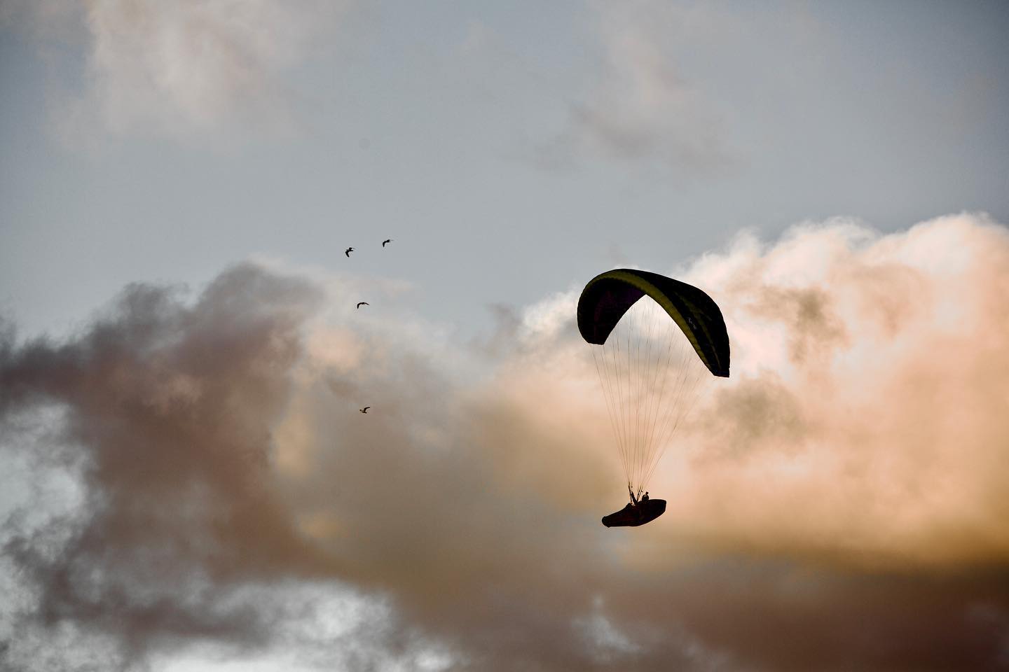 Ci manca navigare in mezzo ai marosi ma poter essere sopra l’acqua grazie al vento ci fa sentire comunque a casa 🌬🏴☠️
@slam_sailing
#paragliding#parapendio#paraglidinglife#paraglidinglove#paraglidingworld#paraglider#outdoorlife#outdoorliving#sardegna#sardegnaofficial#sardegnagram
