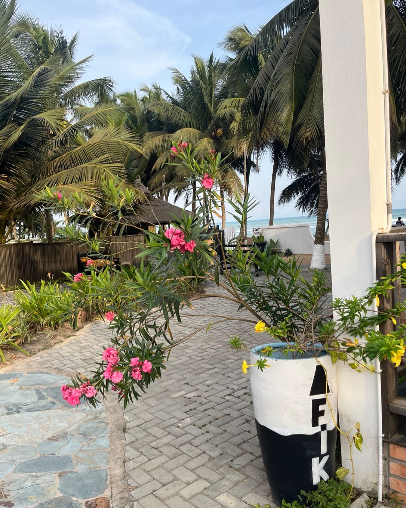 Itās wonderful to see the the Afiki flowers blooming. Itās been a rainy dry season this year and the plants have loved it. The butterflies are enjoying this unseasonal bounty! And we are enjoying the burst of colour. #beachlife #tropicalplants #colorful