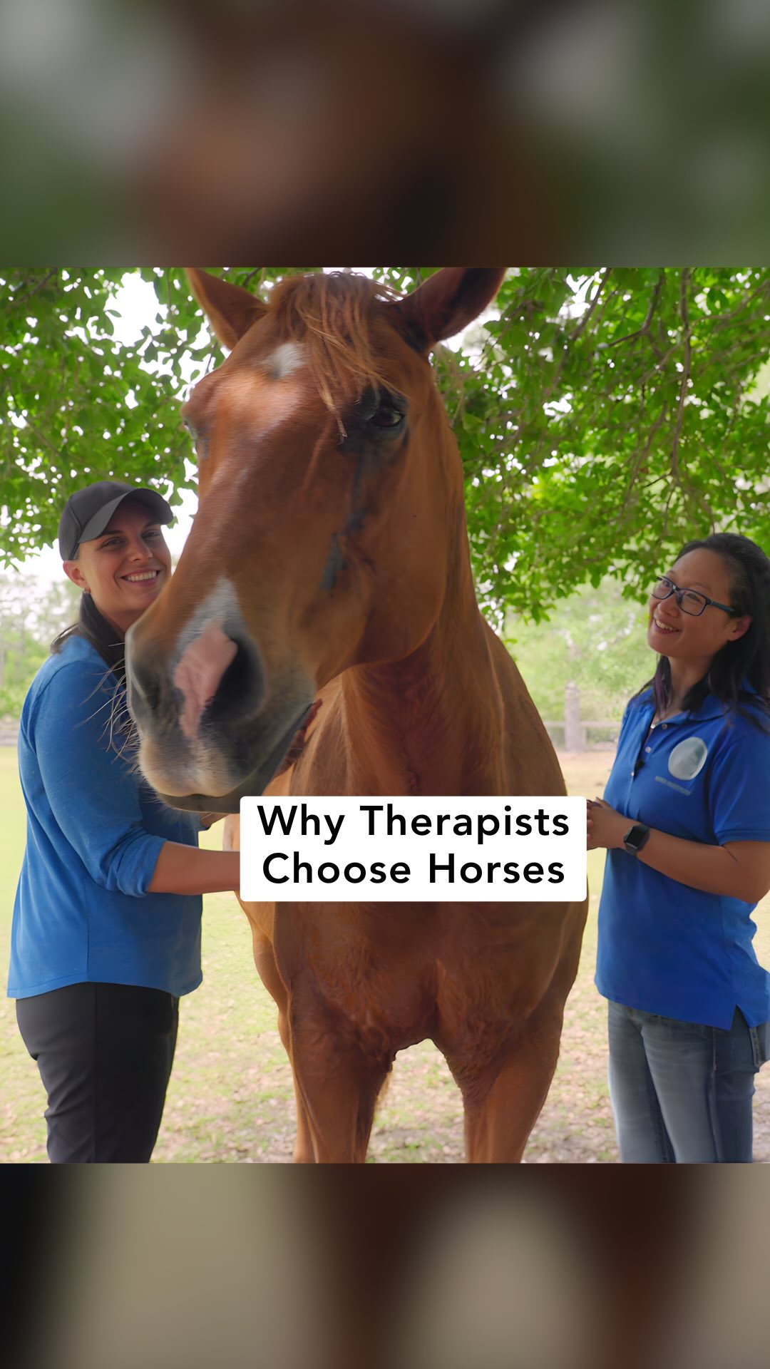During the making of Rescued Hearts, we met therapists who shared something surprising with us.
They told us their clients sometimes experience more of a breakthrough in a short session with horses than they do in months of traditional talk therapy.
Why?
Because horses respond honestly to who we are beneath the surface. And in that space, people often find the courage to feel, release emotions, and reconnect to themselves.
In a space without judgment, horses offer immediate and honest feedback about how we show up in the world. And sometimes, what unfolds in a short time with a horse can open the door to healing in ways words alone cannot.
We are so grateful to @elizabethmccorvey, Lynn Thomas with @horsesformentalhealth, @dr.frankdavis and Dr. Veronica Lac with @theherdinstitute for sharing their wisdom and experiences with us 🐴❤️
We’re sharing the full film for the first time ever from April 1 - 8 and you can watch from anywhere in the world.
Get your ticket: rescuedheartsfilm.com
#therapistthoughts #healingwithhorses #equineassistedtherapy #rescuedheartsfilm