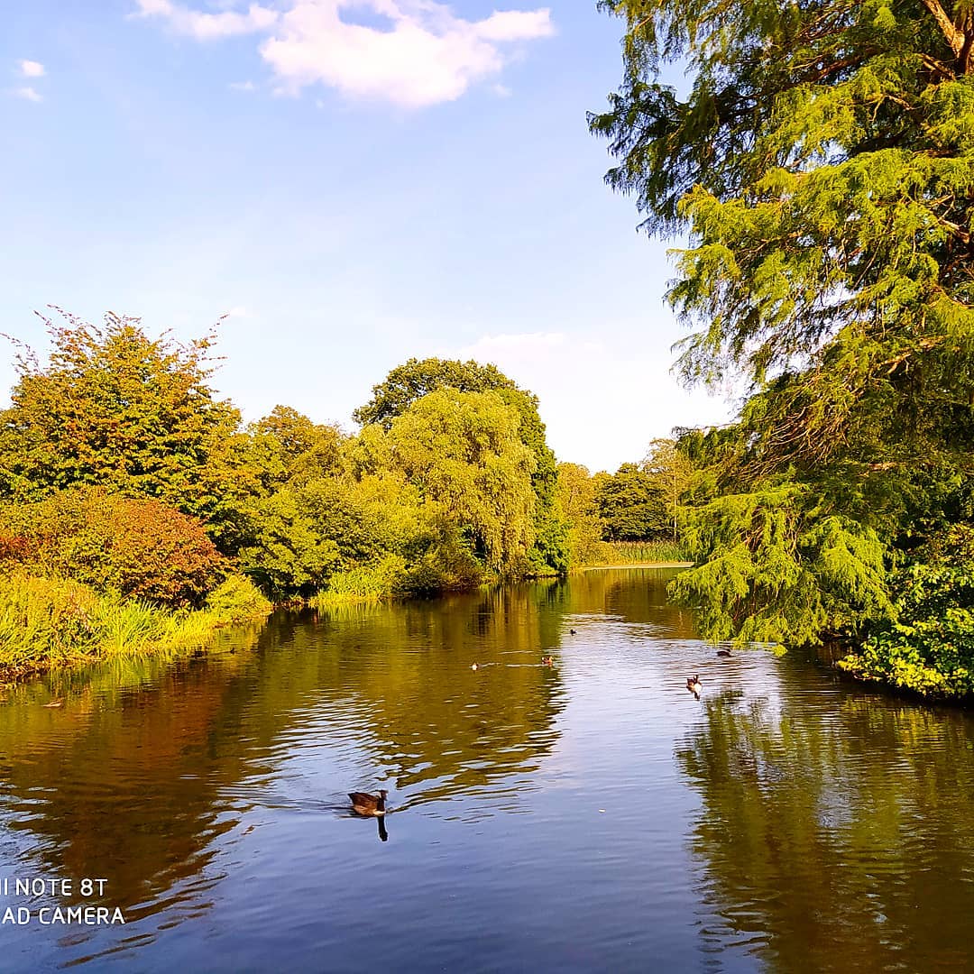 Kew gardens 😍
#september #kewgardens #nature