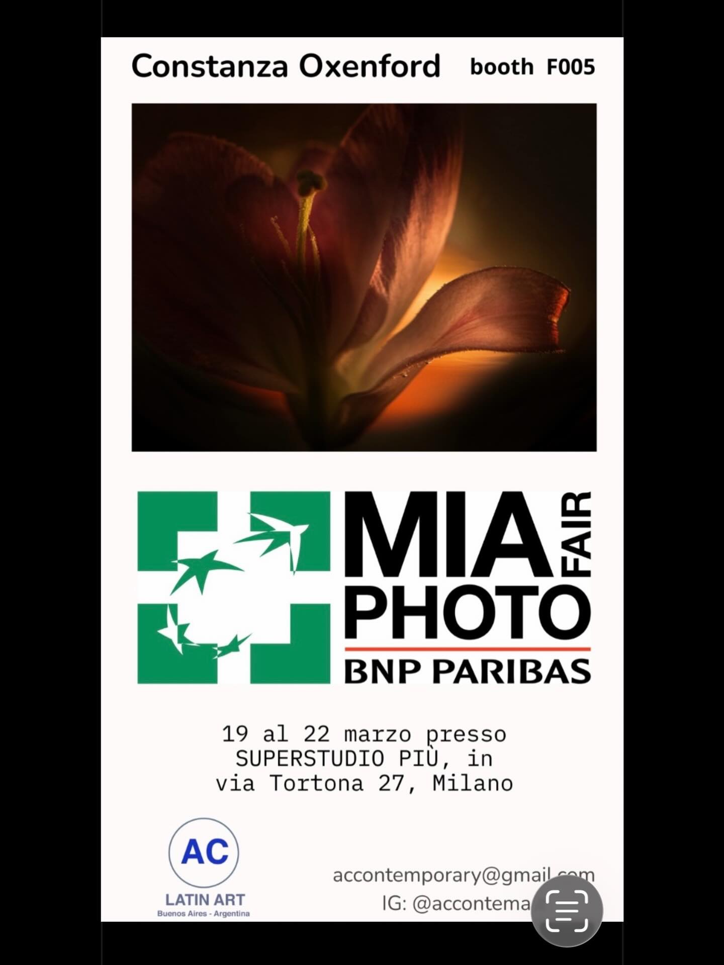 Im so grateful to participate in MIA photo fair with my series “te veo, te busco, te miro” nocturnas. Im on my way to Milan, Italy ✨✨
#accontemart
@miaphotofair
@accontemart
@buyartonlineok