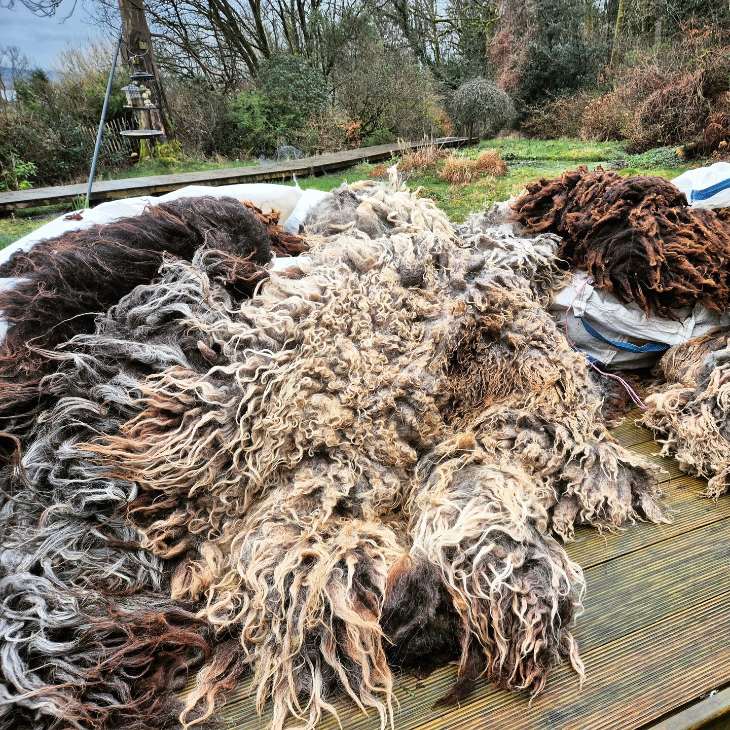A fresh delivery of fleece has arrived from one of my favourite collaborators, @balnahardfarm. I will use these beautiful variegated fleeces to make two vararfeldir for my upcoming #vararfeldrexhibition, as well as some gorgeous collars and rugs. I'll send the latter back to Colonsay when I'm finished, to be sold in the lovely @seapinkgallery.
#weaver #handwoven #vikingweaving #vikingcloak #vararfeldr #vikingreenactment #vikingcraft #heritagecraft