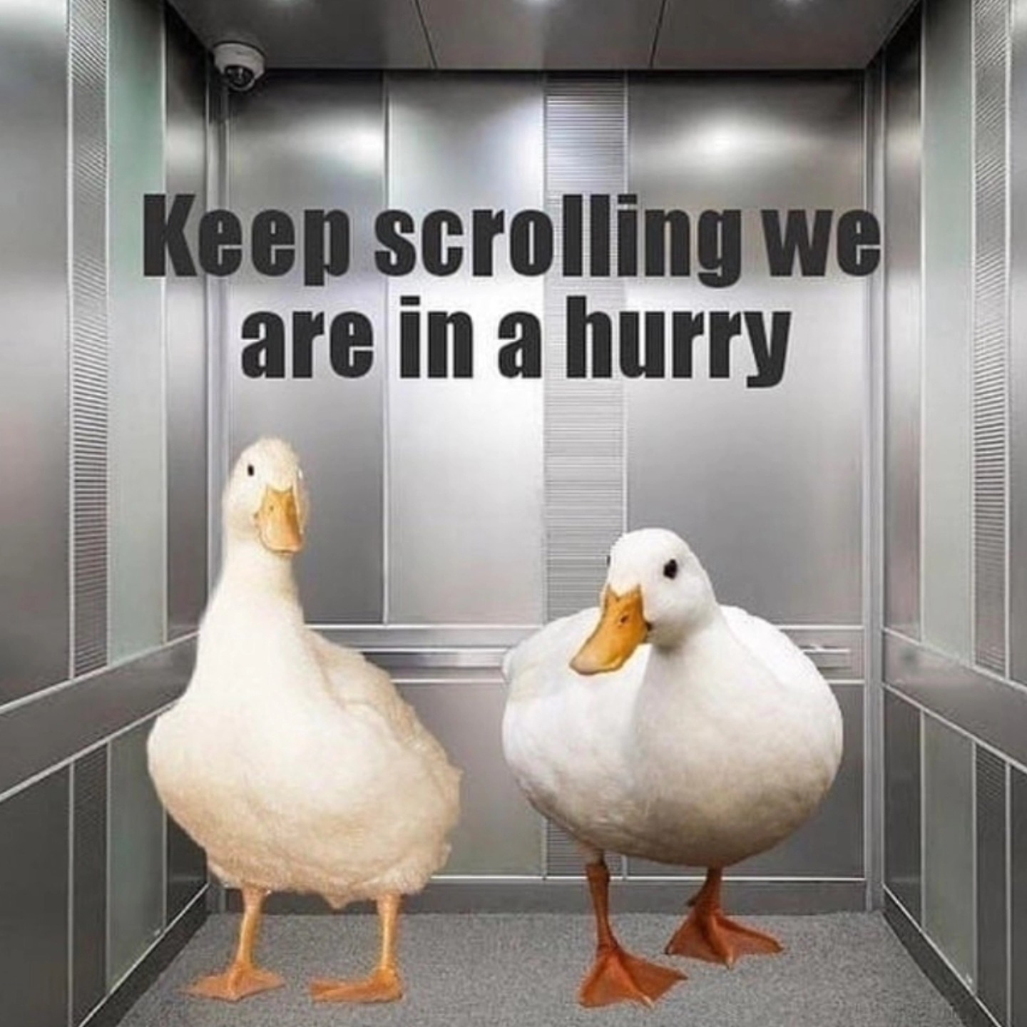 Giveaway next week 🐣💚