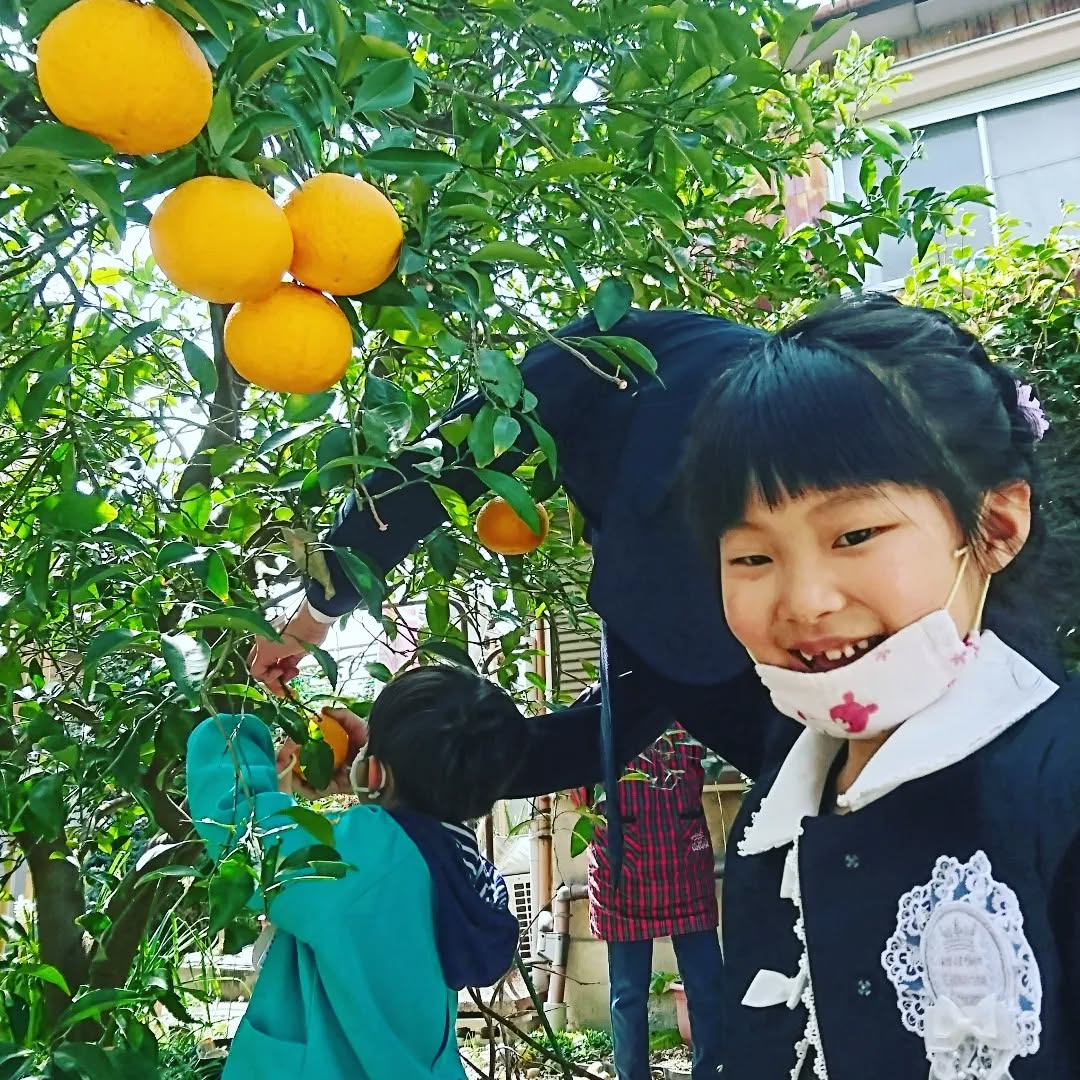 お隣のお嬢ちゃんの卒園日。
家の夏ミカン狩りをしてもらいました。
良き思い出になりますように!
ちなみに私の名前を「竹野内豊」もしくは「トム・クルーズ」と呼ばせてます🎵