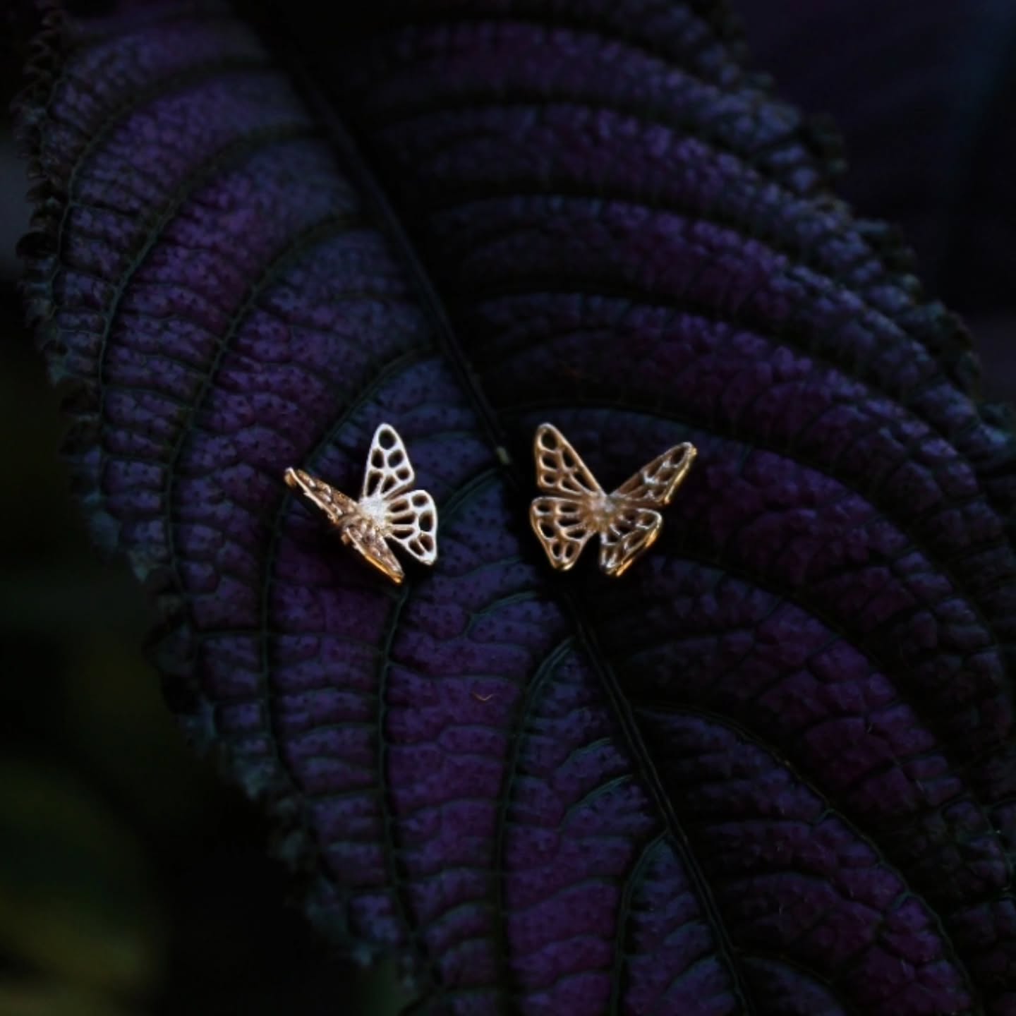 Light enough to follow wherever Friday leads.
Happy Friday !
#josannemark #happyfri̇day #butterflyearrings