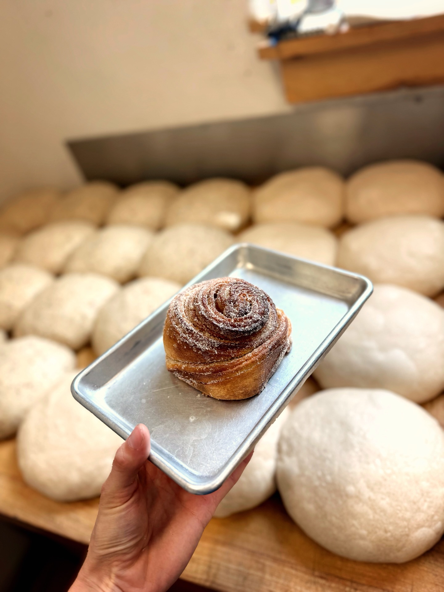 If you’re a follower of our newsletter you already caught the news, but for those of you who aren’t in the know … the seasons are changing, & so is our bread schedule.
First things first: Easter weekend specialty bread pre-orders are now live. We are half way sold out, so secure your orders now through the link in our bio.
For Saturday, April 4th pickup, we’re baking up two seasonal favorites:
✨ Orange + Cardamom Morning Buns: bright citrus, warm spice, and perfect with your morning coffee.
✨ Fried Leek + Potato Rolls: savory, fluffy, and made for your Easter table.
We’ll also have a limited number of wood-fired sourdough loaves available that Saturday first-come, first-served at The Barn.
A couple updates to our regular bake schedule:
Our Boone Dog wood-fired loaves will now be available Thursdays & Fridays only moving forward (with the exception of Easter weekend).
And due to circumstances out of our control, there will be no bread available the week of March 26th & 27th.
Thanks for continuing to show up for the things we bake by hand.
We can’t wait to get these Easter treats into your hands.
Pre-orders are open now.