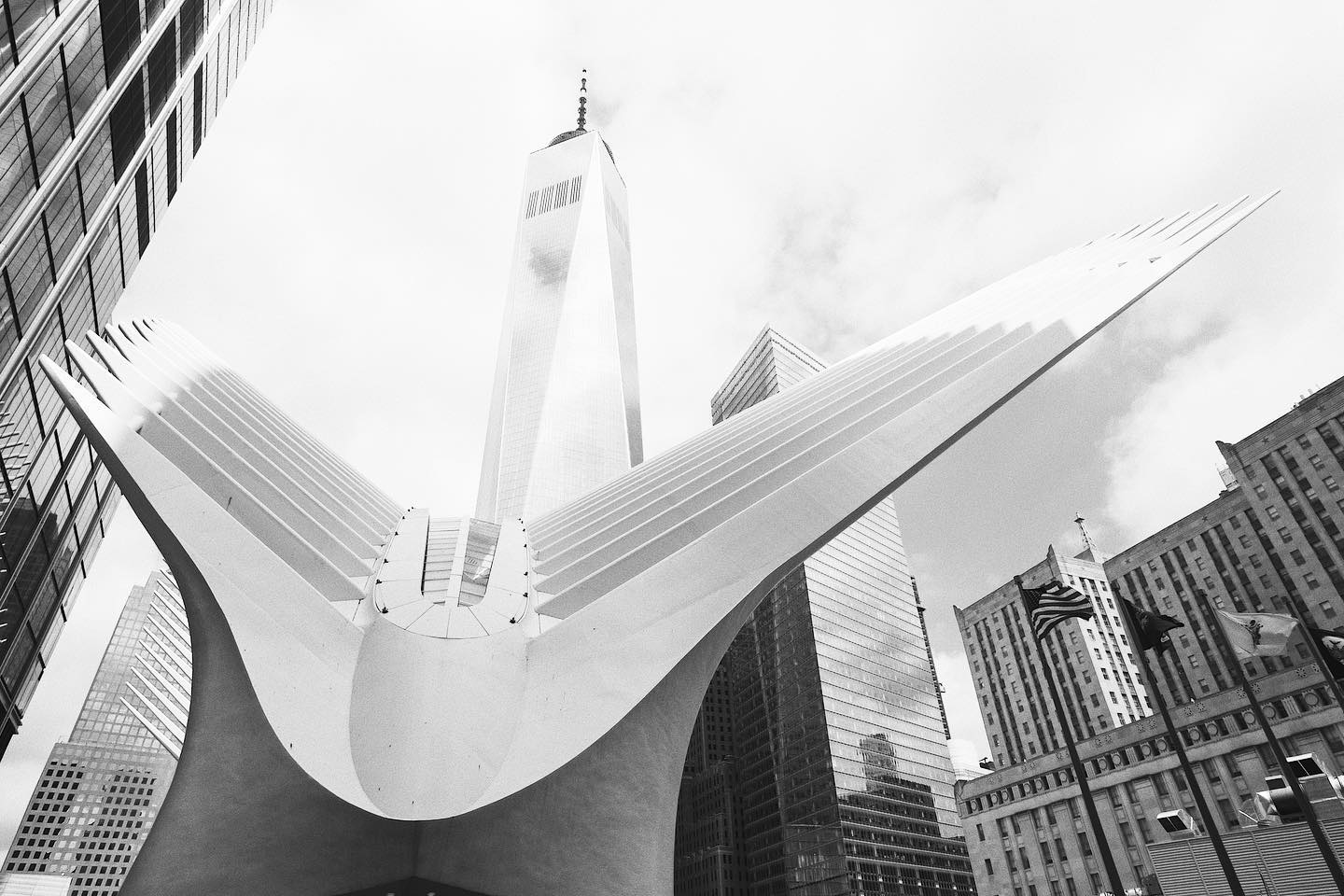 The Oculus, beautiful structure in World Trade Center.
Did you know that the white Italian marble in the Oculus is re-honed every year for $50,000 plus other important routine cleaning and maintenance process?
.
.
.
.
.
.
#TERSOMR #Architecture #InteriorDesign #TileInstallers #Marble #Stone #LuxuryBathrooms #Homeowners #Contractor
#LuxuryHomes #Luxurynyc #NYC #Architect #Tile #MarbleNYC