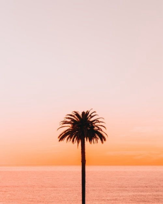 Our bottles are made from recycled plastics, our formulas are vegan, paraben and sulphate free, and everything is designed with the ocean in mind.
We are proud to be leaving a lighter footprint on the world around us. 🌊
#arvohaircare #ecofriendlybeauty #veganhaircare #cleanhaircare #toxinfreebeauty