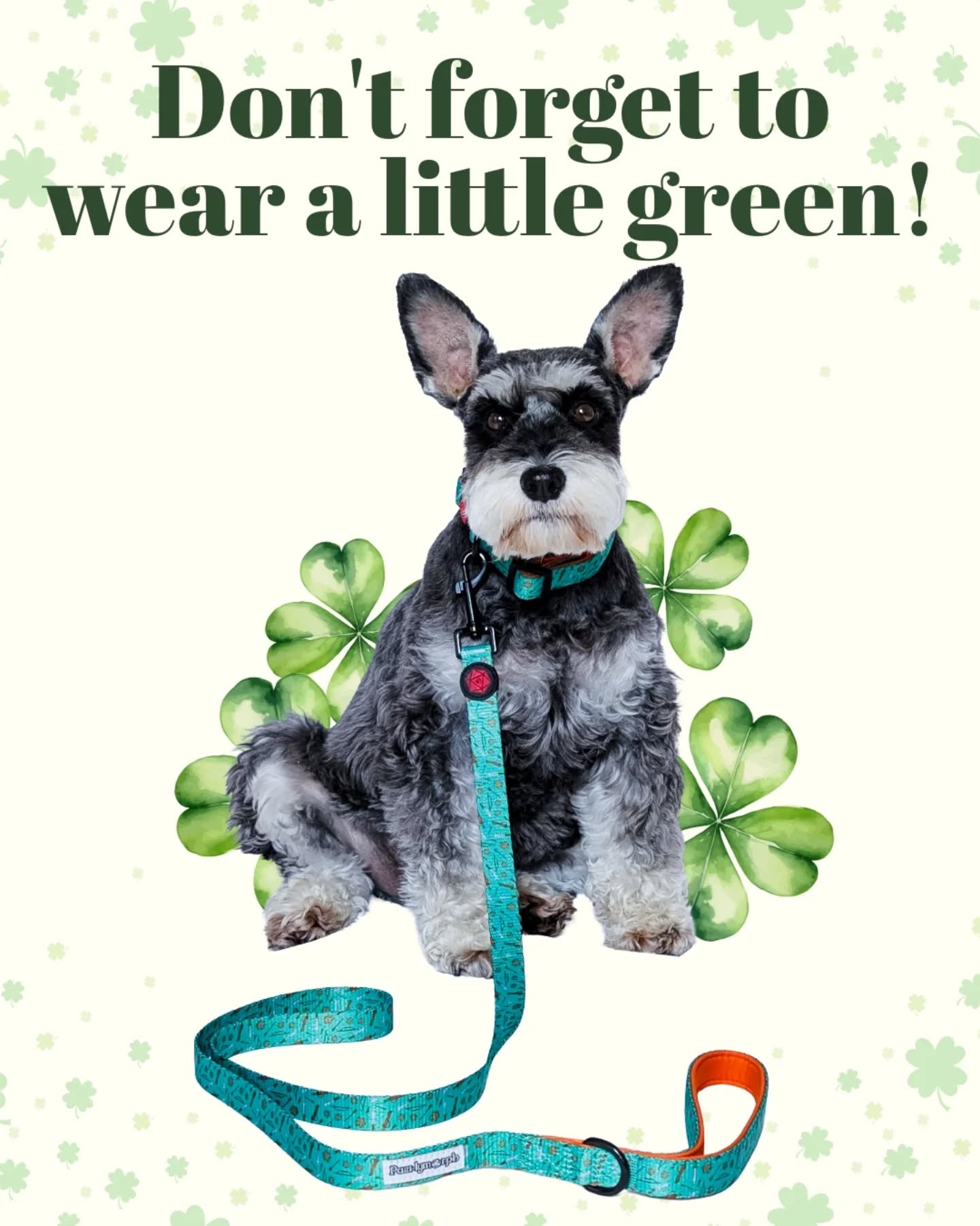 🍀 May a little luck come your way this St. Patrick's day! 🍀
.
.
#pawlymorph #pettoys #happystpatricksday