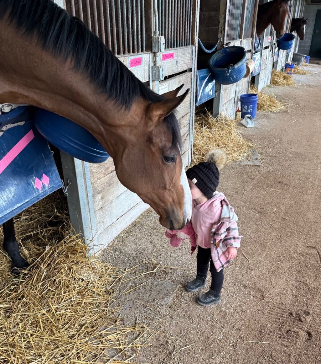 Anyone need a #FeelGoodFriday pick me up?
This is one of our racehorses, Music Theory (barn name "Doug") this morning with the tiniest member of @annameahracing 💕 #brownsteadbred #thoroughbred #racehorse