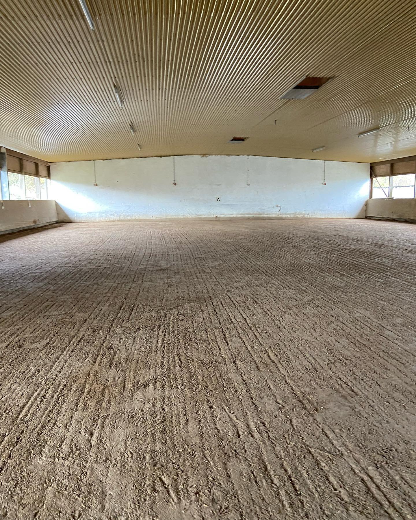 Neuer Hallenboden✨🚜🧹
am Montag, den 24.10.2022 war es nun endlich soweit.
Nach etlichen Tagen vorarbeiten, kam der neue Sand😍.
Er wurde von den Stallbesitzern höchst persönlich abgeholt und in der Halle verteilt.
Anschließend kam am Freitag die Firma @bavaria_reitplatzbau mit einem Laser und diversen Gerätschaften um den Boden zu bearbeiten, geradezuziehen und zu festigen.
Nun können unsere Einsteller wieder in der Halle mit dem tollen, neuen Boden mit ihrem Pferden arbeiten und Spaß haben.😎
#reitstallkreithann