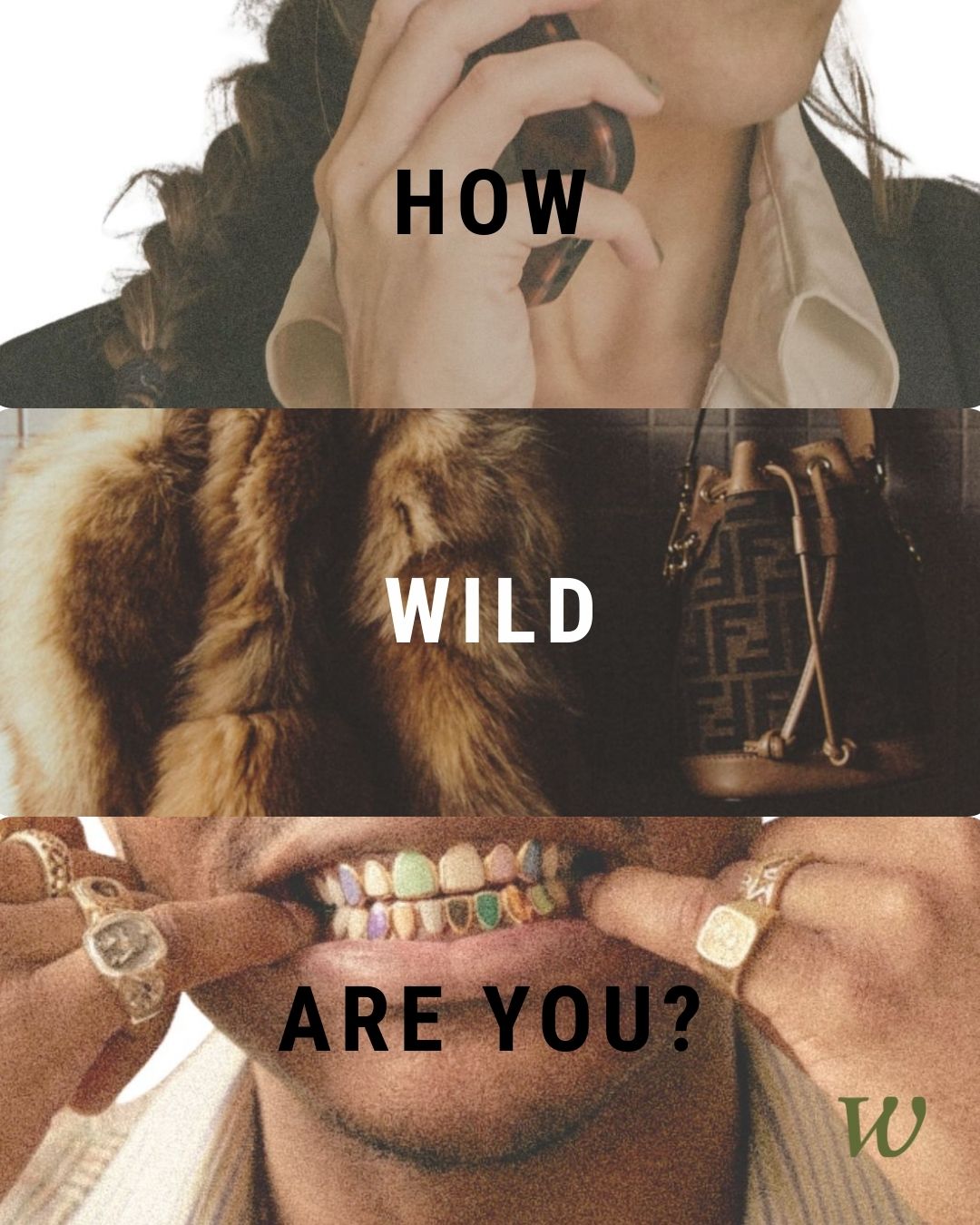 Let's find out.
#wildstead #wildthing #feral #nativeplantlandscaping #wildscaping #nativeplants #personalityquiz #archetypes #matriarchallandscaping
