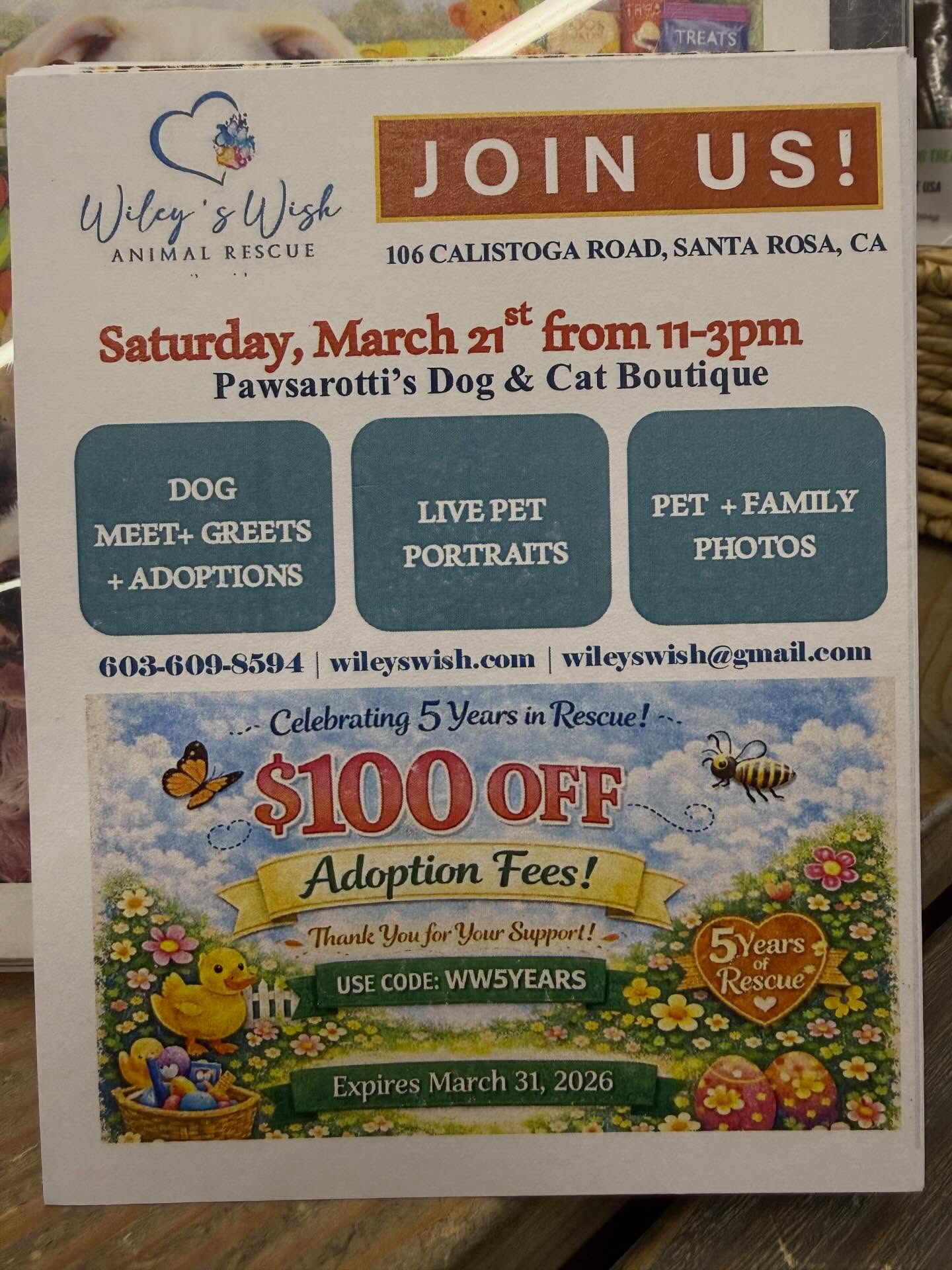 Join us this Saturday, March 21st at the Best Pet Boutique in Sonoma County, @pawsarottispetshop for our Spring Social with @wileyswish and many special friends
We canโt wait to see @pawtraits_by_pearl
@_sophiarosephotography @photos_by_yasmin at the event as well!
Adorable dogs for adoption. Come find a new forever furry friend. ๐๐พ
Join us! @wileyswish #golocalsoco #sonomacounty #socopets #dogadoption #meetandgreet