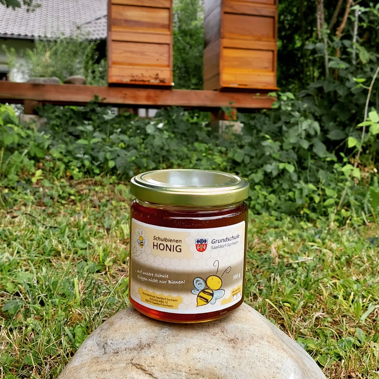 Der erste Honig unserer fleißigen Schulbienen🐝!
Beim Besuch unserer 4.Klassen der Grundschule hat die Klasse 4a mit ihrem Lehrer Herr Maß ein besonderes Geschenk mit im Gepäck - den ersten Honig aus unserem Schulgarten!
Vielen lieben Dank dafür, ein echt tolles Projekt!
#gemeindesaaldorfsurheim #grundschule #imkerei #berchtesgadenerland