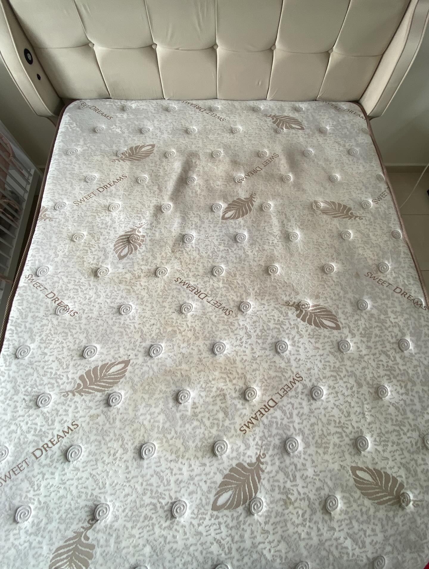 ALANYA KOLTUK YIKAMA 🛋️
🛏️ Yatağınız gerçekten temiz mi?
✅ Yatağınızda biriken toz, bakteri ve akarları derinlemesine temizliyoruz
✅ Profesyonel ekipmanlarla hijyenik ve ferah bir uyku ortamı sağlıyoruz
✅ Temiz bir yatak, sağlıklı bir uyku demektir
#koltukyikama #alanya #alanyakoltukyikama #konakli #keşfet #avsallar
