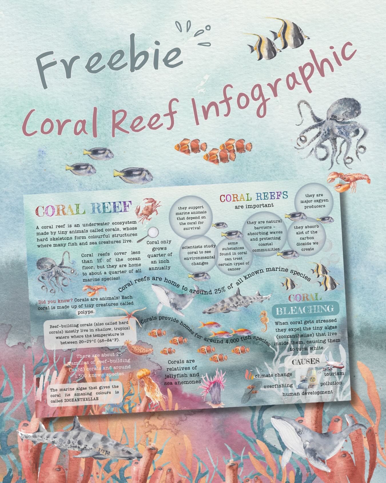 š Freebie alert š
I have updated my coral reef poster and want to offer everyone it for free for this weekend. Click the link in my bio. #coralreefposter #freehomeschooling #freelearningresources #freeposter #freebiefriday
