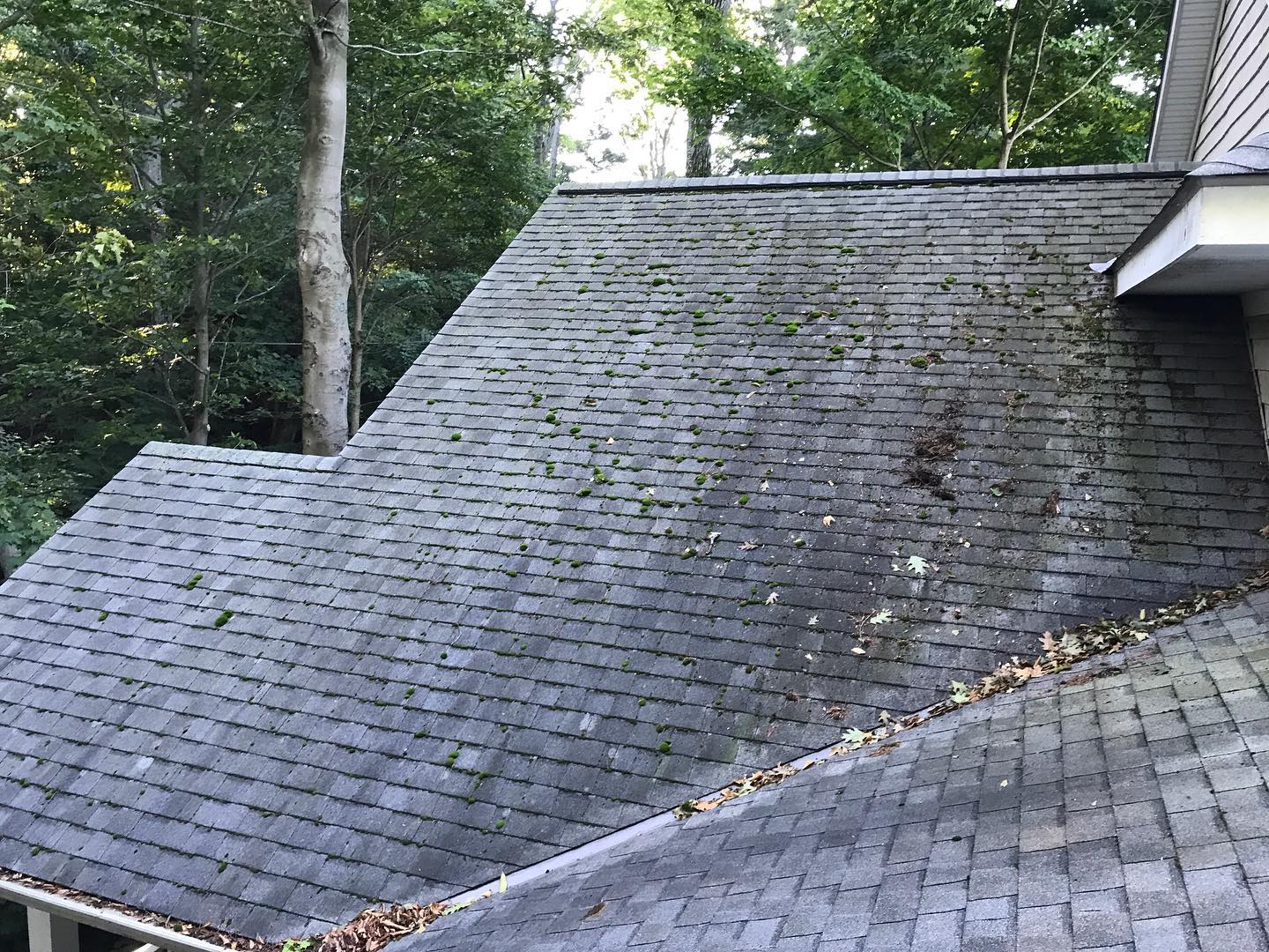 Moss on your roof? Black streaks (gloeocapsa magma) causing an eye sore? Trying to figure out what to do about it?
✨No need too worry! We can help!✨
Call/Text NOW for a FREE ESTIMATE for our Safe & Efficient Roof Cleaning Service!
📞(231) 670-2967📞
Or
Check out our website for more details and fill out a Contact Form:
www.lakesedgeexteriors.com
✅Fully Insured
✅Free Estimates
✅House Washing
✅Roof Cleaning
✅Interior/Exterior Window Cleaning
✅Pressure Washing
✅Concrete Cleaning
✅Gutter Cleaning
#roofcleaning #housewashing #housewash #softwashing #softwash #grandhaven #springlake #holland #westmichigan #supportlocalbusinesses #windowcleaning #cleaning #pressurewashing #windowcleaner #clean #cleaningservice #guttercleaning #housecleaning #cleaningservices #windowwashing #cleaningcompany #powerwashing #smallbusiness #pressurecleaning