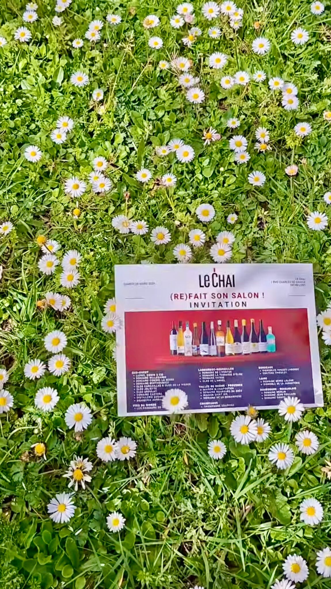 Une invitation à découvrir, déguster et partager🍷🍾 🍇 Le Chai (re)fait son Salon des Vins, le samedi 28 mars dans le futur magasin !
👉Ne manquez rien : inscrivez-vous en cliquant sur le lien en bio
