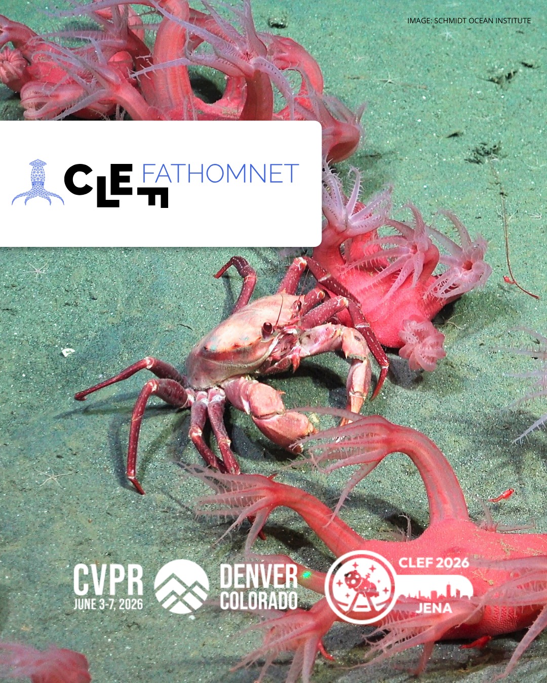 We have a major problem. Many of the annotated images in the #FathomNetDatabase have sparse coverage–only 1 or some of the animals are labeled. We’re asking the computer vision community for help to develop better object detectors.
If the training data contains sparsely labeled images, can you build object detection systems that identify all animals in the test set?
Join our Kaggle challenge w/ #LifeCLEF & #FGVC13 to show us your solution! LINK IN BIO
#FathomNet #FathomNetCLEF #ComputerVision #CV4Ecology #objectdetection #Kaggle #machinelearning #datascience