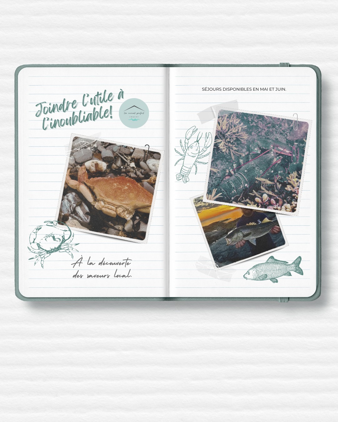 Joindre l’utile à l’inoubliable.
🦀 Saveurs locales
🌅 Couchers de soleil
🌊 Moments parfaits au bord du fleuve
Quelques disponibilités en mai et juin.
https://www.unmomentparfait.ca/reservations
#vacancesquebec
#basstlaurent
#chaletlocatif
#tourismebassaintlaurent
#tourismegaspesie
#crabes