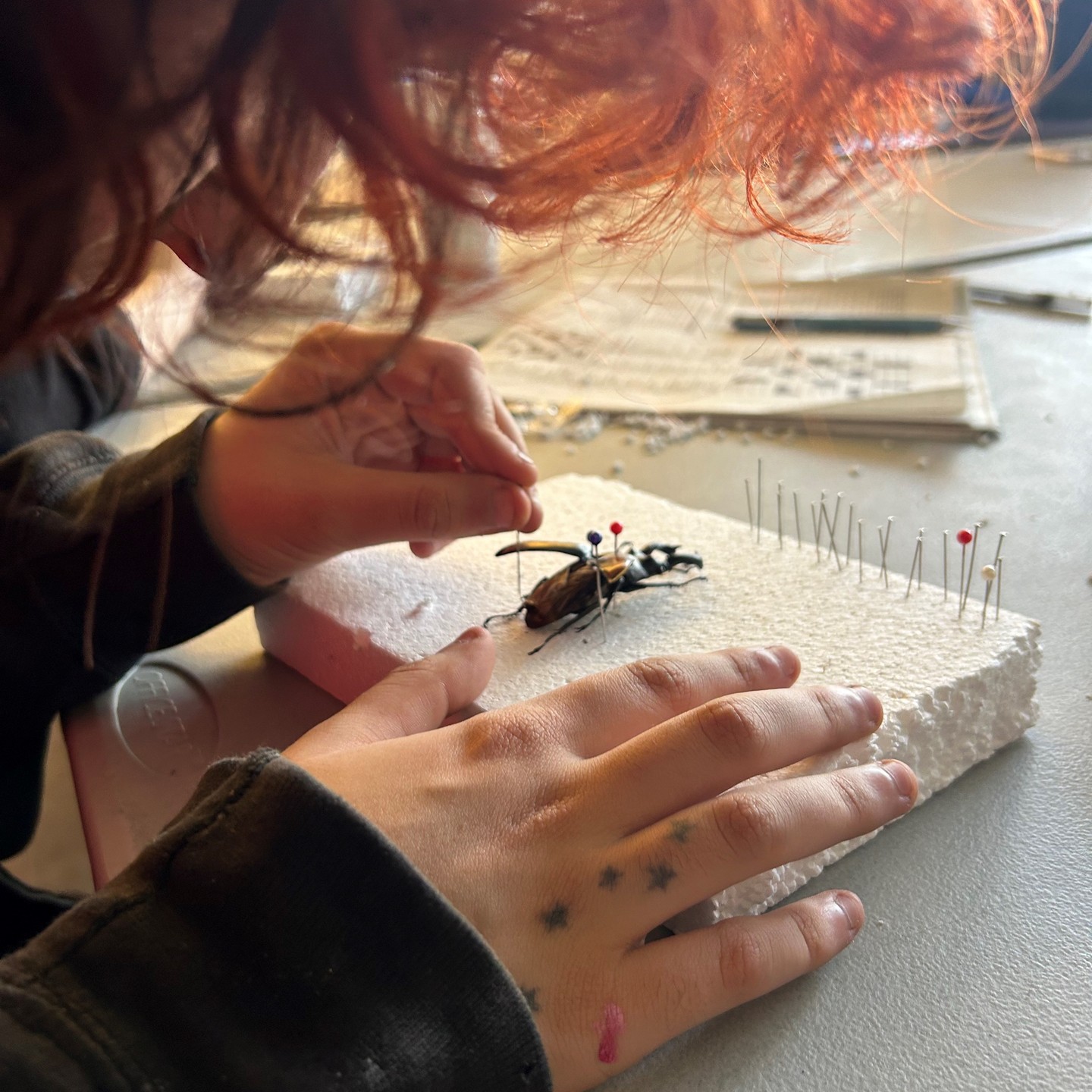 Last week, (& October thus far), has been busy! We did bug pinning with the @victoriabugzoo, & we made BEAUTIFUL Drums with our friends Rob & Chalia, we've had silversmithing - one student made the loveliest labradodrite ring with art teacher extraordinaire Maria's guidance...
We've cooked & baked & baked & cooked some more - including Pizza & the best Donuts! And yes, lots of academic work has also been getting done! Including workshops, and science ventures, and boxing, & workshops (even poetry with SENĆOŦEN language inclusion - our teachers are the best!).
So much love & gratitude for our students, teachers, YFC's, support staff & everyone who comes in to share knowledge & culture with our students/community... can't wait for Indian food & a spooky downtown ghost walk later this week! ❤️