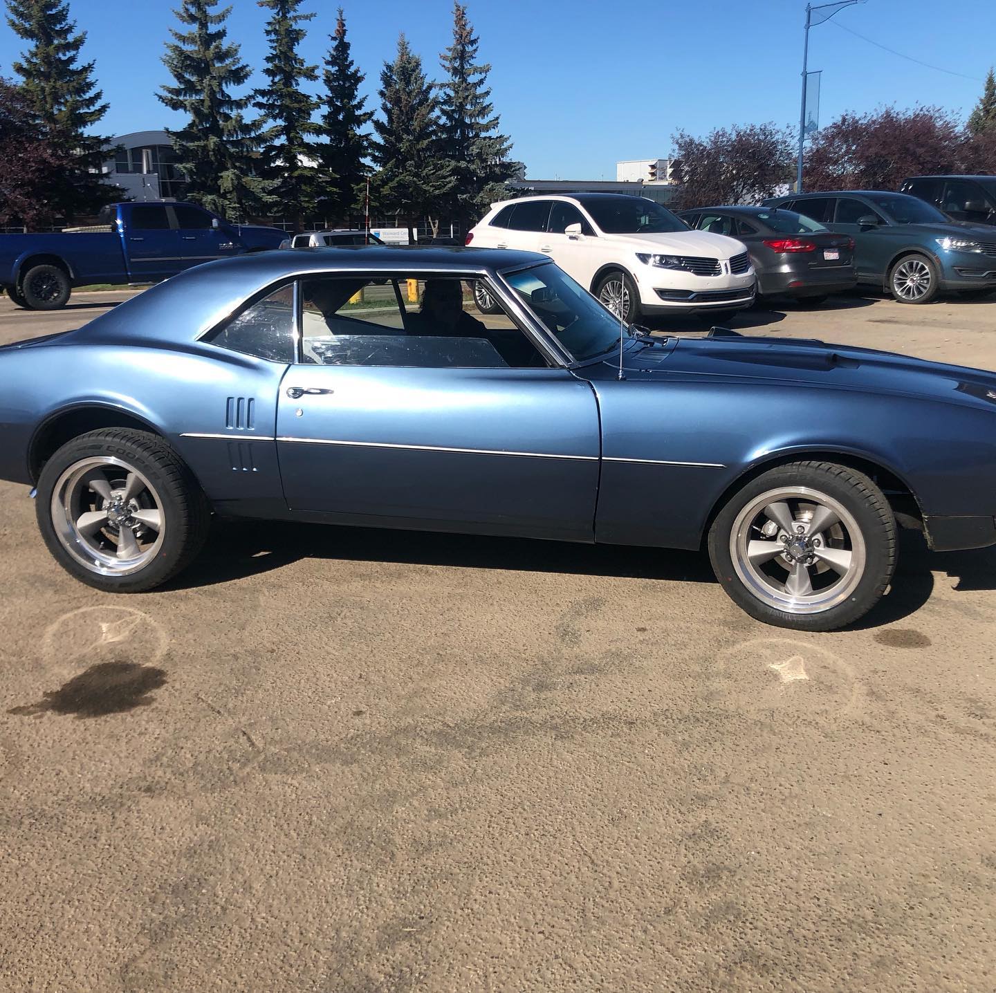 Vehicles found in our parking lot!
1968 Firebird. 400ci & Tremec 5 speed
â˘
â˘
â˘
#familybusiness #gogreen #recycle #recycler #rodway #truckparts #carparts #used #usedparts #autorecycling #autorecyclers #junkyard #scrapyard #yegauto #edmonton #yegautomotive #yegsmallbusiness #yegshoplocal #yegauto #shoplocalcanada #yegbusiness #upcycling #reuse #rrr #carbonfootprint #firebird #vehiclesfoundinourparkinglot