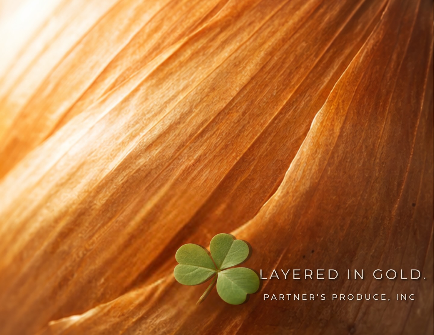 Not all gold comes in coins, sometimes it comes in layers! This St. Patrick’s Day, we’re celebrating the quality produce that moves through our facility everyday! ☘️🧅
#gotonions #agricultura #agriculture #processing #manufacturing