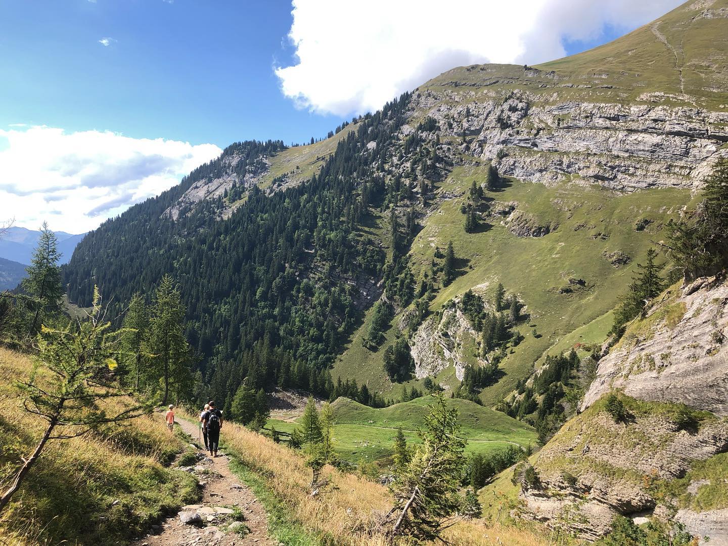 Rando au rythme des ânes autour de la paysannerie de montagne.
Merci à Martine et ses ânes pour la belle journée si riche et pour tout le travail !
On se réjouit de vous proposer d’autres sorties 🥾🐴🐑⛰ à suivre… 😊
#paysanne #bio #filaturedelavancon #rando #ânes #randofamille #alpagedelavare #swissalps #accompagnatriceenmontagne #kulkatrek