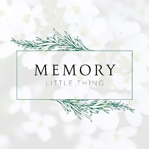 The Name. The Logo. The Story.
NAME | It's a play on "Every little thing." Our aim is to emphasize that every little thing is worth remembering. What does a gift of a memory look like? We have it or we can customize it for you.
LOGO | Rosemary frames out the name. It is a scented herb believed to strengthen the memory, and so it became a symbol of remembrance. It has become associated with the Anzac tradition of being loyal to one's mates, and active in honouring the memory of fallen and departed comrades.
MANATUA is the sub-brand | The line is dedicated to any customized pieces that don any Polynesian tribal.
NAME - MANATUA | The Samoan word for "Memory."
LOGO - MANATUA | The name is framed out with Enata/ Tagata -Polynesian tribal tattoo design that symbolizes people/ community (the line connects them)/ ancestors (honoring those who have gone before us).
BRAND STORY | Where custom gifts & memorial pieces say, "I thought of you, I appreciate you, I see you, I'll always remember you."
#webdesign #graphicdesign #brandspecialist #Samoan #SamoanBusinessOwner #Filipino #supportpolynesianbusinesses