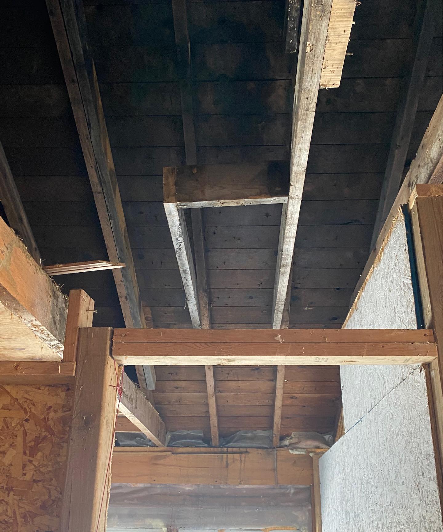 Ended last week with another garage fire.
We are very happy with the outcome from dry ice blasting it. Stay tuned to see the finished product after we smoke seal the walls and ceiling.
#fire #firerestoration #wood #sootremoval #dryice #dryiceblasting #painting #beforeandafter #satisfying #cleaning #co2sweep #blasting #mediablasting #co2 #homerestoration #homereno