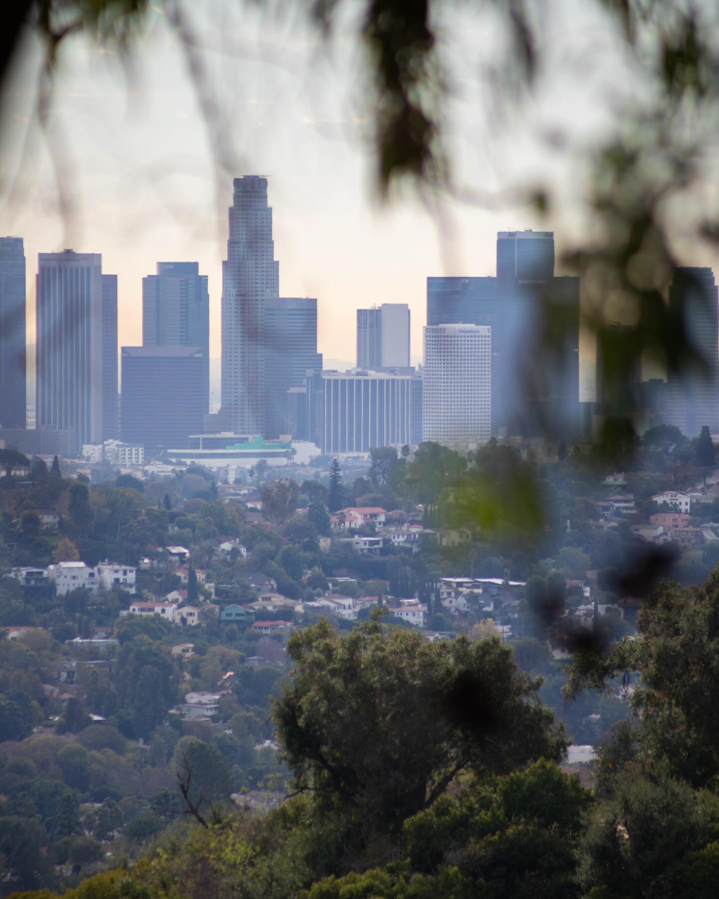 Even if you live in a big city, you can find a nature oasis not too far away.
#hiking #hikingadventures #losangeles #california #getoutside #nature