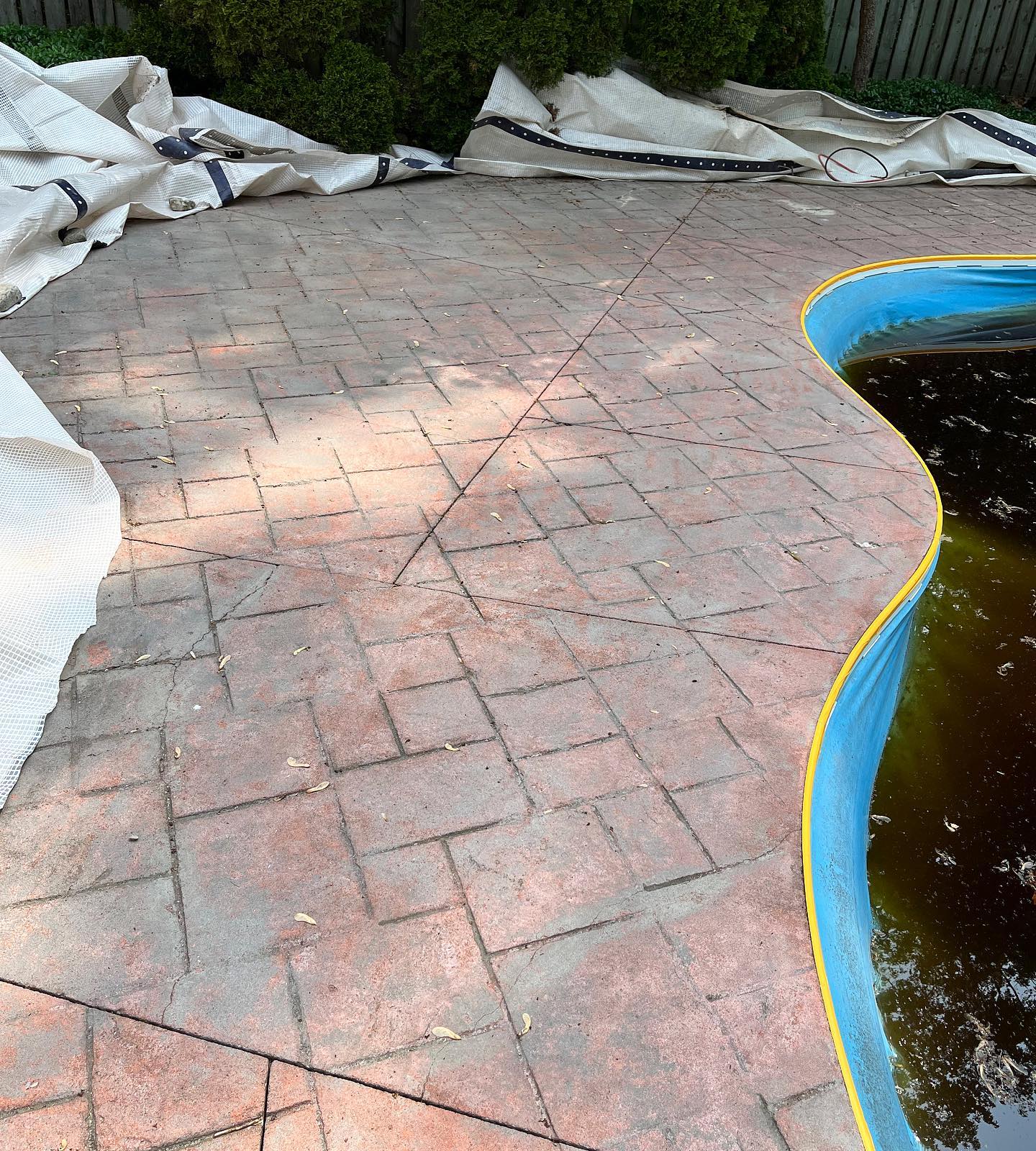 Before and after vapour blasting a grey paint coating off of this beautiful terracotta pool surround.
This happy couple will now be ready to open their pool for the summer!
#pool #poolsurround #coatingremoval #paintremoval #blasting #vapourblasting #co2sweep #wetblasting #abrasiveblasting #restoration #beforeandafter #summervibes