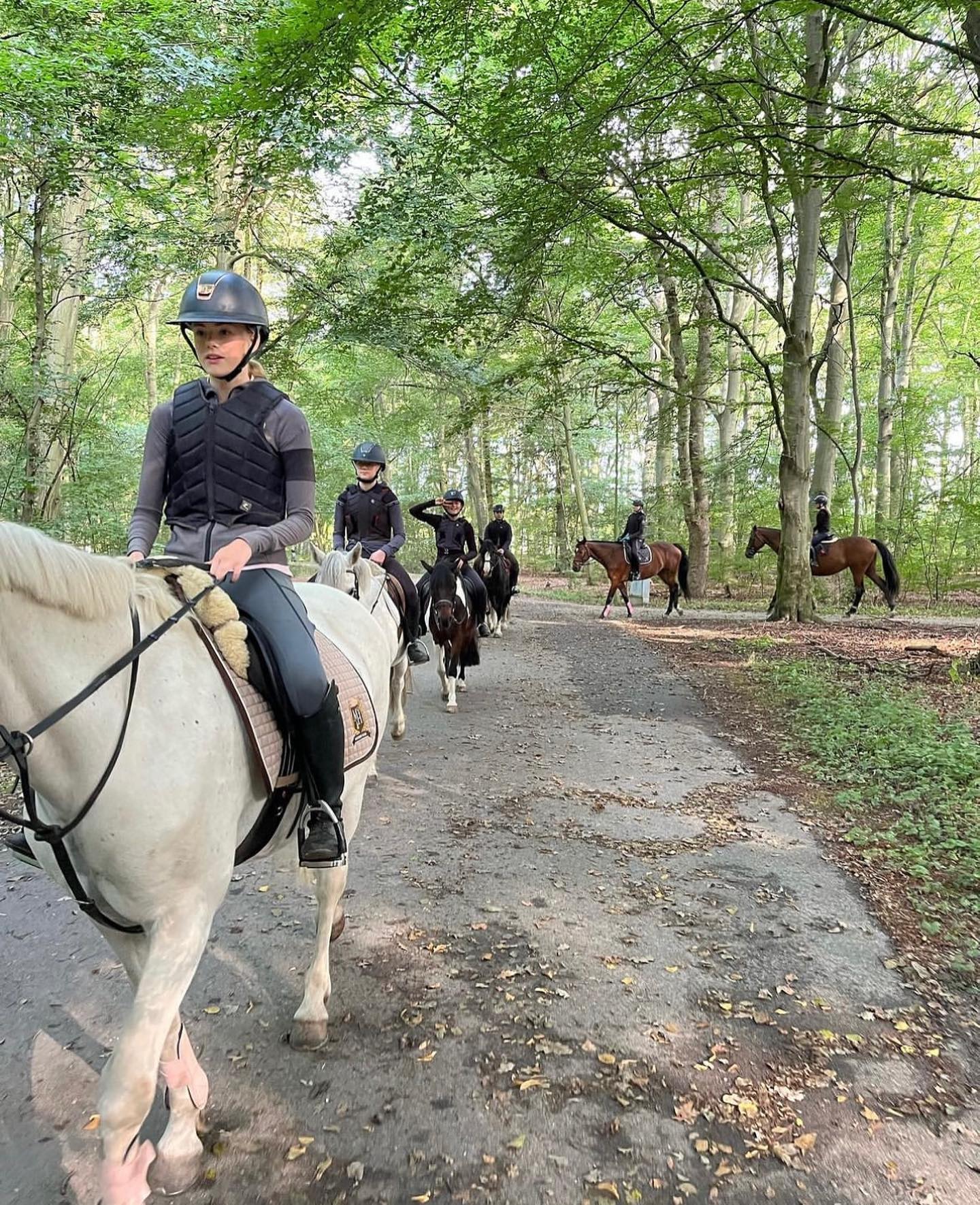Ridning och teori stod på schemat för våra två klasser hos @landskronaridklubb 🐴