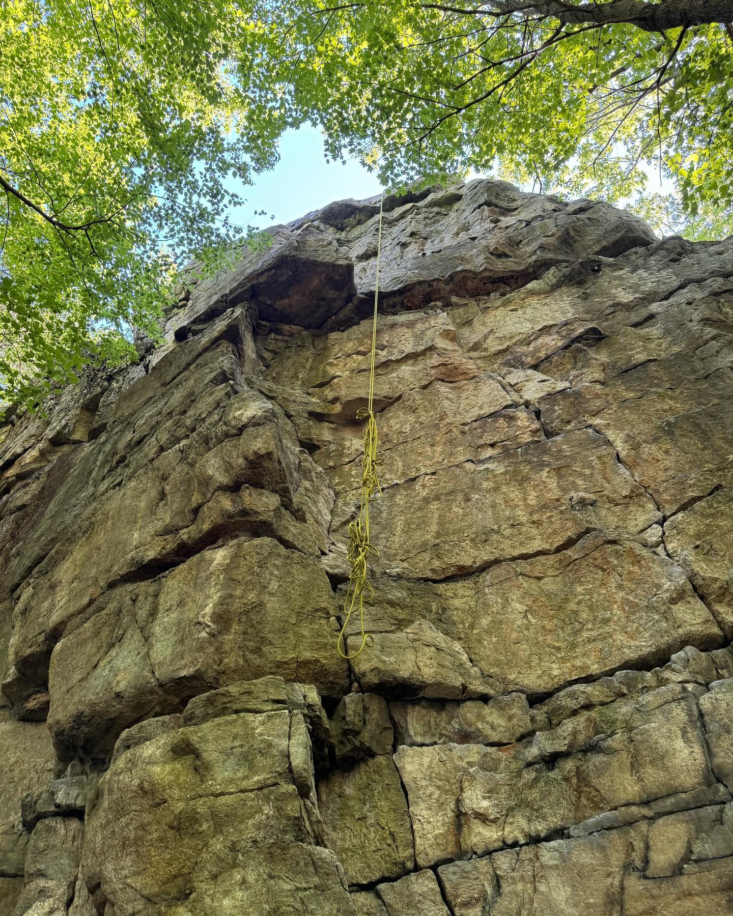 Peterskill June 1/2 weekend with Erica, Logan, Dolly and Charlie!
🧗🏻♀️Day 1 we set up top rope on bolted anchors for Reach Around (5.8) and Crack-a-lack (5.10a). Rope got tangled when we dropped it in place 🤦🏻♀️Played around with some mock trad leading and placing some pro. Saw a huge Northern Black Racer. Late evening we attempted to find some boulders and struggled on the Diving Board (V3).
Note: Erica set up a directional for Crack-a-lack