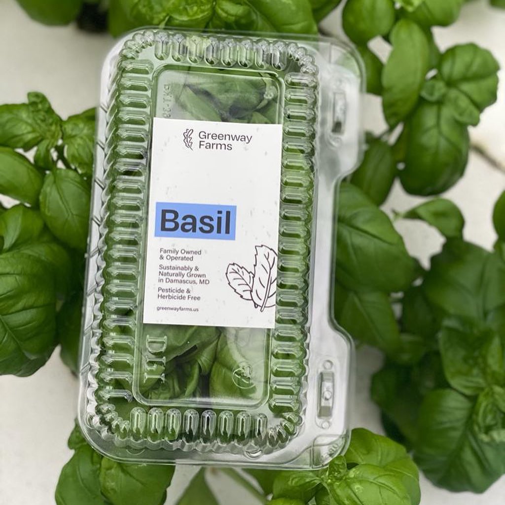 Enjoy our pesticide-free basil at Harris Teeter 🌿