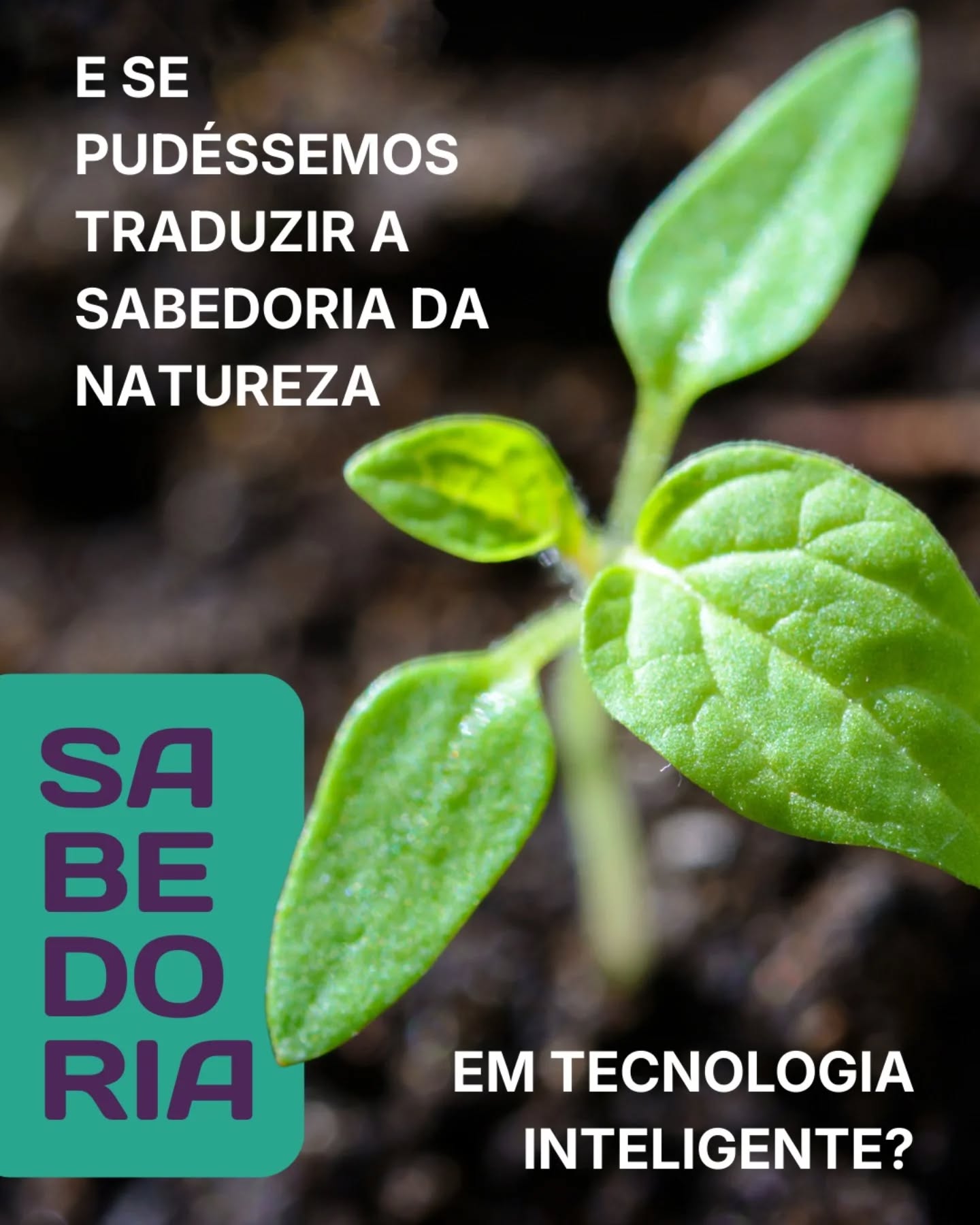A natureza sempre encontrou respostas elegantes para desafios complexos.
Ao observar seus ciclos, descobrimos inteligência, precisão e um equilíbrio que a ciência ainda busca compreender plenamente.
Mas… e se pudéssemos traduzir essa sabedoria em tecnologia?
E se fosse possível transformar processos naturais em soluções automatizadas, eficientes e adaptadas ao futuro da produção agrícola?
Hoje damos início a uma jornada para apresentar como unimos biologia, engenharia e inovação para potencializar o controle biológico no campo.
A natureza sempre soube. Agora, estamos aprendendo a ouvir.
Acompanhe os próximos capítulos.
#sabedoria #sabio #controlebiologico #sustentabilidade #predativa