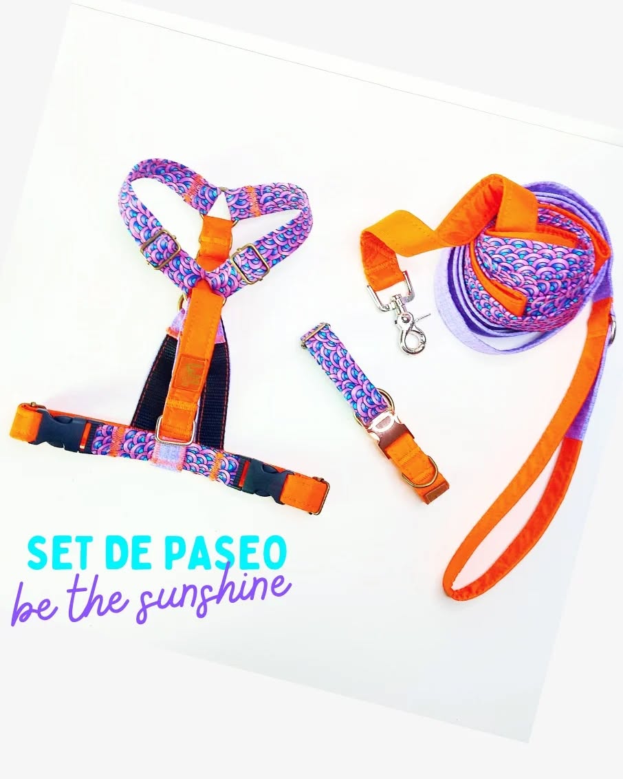 𝗕𝗲 𝗧𝗵𝗲 𝗦𝘂𝗻𝘀𝗵𝗶𝗻𝗲 🌈🔥🐾 un set de paseo tan lleno de magia y color que llenará a tu wawi de felicidad y sonrisas 💗🐶
🐾 𝖣𝗂𝗌𝖿𝗋𝗎𝗍𝖺 𝖽𝖾 𝗽𝗮𝘀𝗲𝗼𝘀 𝗰ó𝗺𝗼𝗱𝗼𝘀 𝗰𝗼𝗻 𝗲𝗹 𝘀𝗲𝘁 𝗽𝗮𝘀𝗲𝗼 𝗶𝗺𝗽𝗲𝗿𝗺𝗲𝗮𝗯𝗹𝗲 🔥 y 𝗹𝗶𝗯𝗿𝗲𝘀 𝖼𝗈𝗇 𝗇𝗎𝖾𝗌𝗍𝗋𝖺𝗌 𝗰𝗼𝗿𝗿𝗲𝗮𝘀 𝗹𝗮𝗿𝗴𝗮𝘀 🤩 𝗌ú𝗆𝖺𝗅𝖾 𝗎𝗇 𝗮𝗿𝗻é𝘀 𝘁𝗮𝗻 𝗰ó𝗺𝗼𝗱𝗼, 𝘀𝗲𝗴𝘂𝗿𝗼 𝘆 𝗹𝗶𝘃𝗶𝗮𝗻𝗼 😱 𝗊𝗎𝖾 𝗍𝗎 𝗐𝖺𝗐𝗂 𝗇𝗂 𝗌𝖾𝗇𝗍𝗂𝗋á 𝗊𝗎𝖾 𝖾𝗌𝗍á 𝖻𝗂𝖾𝗇 " 𝖺𝗌𝖾𝗀𝗎𝗋𝖺𝖽𝗈" 🤭 🔥 ( 𝗶𝗱𝗲𝗮𝗹 𝗽𝗮𝗿𝗮 𝗽𝗲𝗿𝗿𝗶𝘁𝗼𝘀 𝗾𝘂𝗲 𝗹𝗲𝘀 𝗺𝗼𝗹𝗲𝘀𝘁𝗮𝗻 𝗹𝗼𝘀 𝗮𝗿𝗻𝗲𝘀𝗲𝘀 𝗺𝘂𝘆 𝗺𝗮𝘀𝗶𝘃𝗼𝘀 ) 🔥 𝗒 𝗍𝖾𝗋𝗆𝗂𝗇𝖺 𝖾𝗅 𝗅𝗈𝗈𝗄 𝖼𝗈𝗇 𝗎𝗇 𝗰𝗼𝗹𝗹𝗮𝗿 𝘁𝗮𝗻 𝗲𝘀𝘁𝗶𝗹𝗼𝘀𝗼 𝗰𝗼𝗺𝗼 𝗰ó𝗺𝗼𝗱𝗼!🥰🐾
𝘠 𝘰𝘣𝘷𝘪𝘰 𝘱𝘳𝘦𝘱á𝘳𝘢𝘵𝘦 𝘱𝘢𝘳𝘢 𝘭𝘰𝘴 𝘦𝘭𝘰𝘨𝘪𝘰𝘴 𝘦𝘯 𝘵𝘶𝘴 𝘱𝘢𝘴𝘦𝘰𝘴 😎🐕📸💕
𝘋𝘪𝘴𝘱𝘰𝘯𝘪𝘣𝘭𝘦 𝘦𝘯 👇🐾
𝘄𝘄𝘄.𝘄𝗮𝘄𝗮𝗽𝗲𝘁𝘀.𝗰𝗹
🐾💗
.
.
.
.
.
#perroschilenos #perrosfelices #galgos #galgo #dogmom #dogdad #mamaperruna #martingale #papaperruno #martingalecollar #miperro #miperroyyo #pewoschile #perrhijo #perrhijos #doglover #doglovers #madreperruna #arnesperro #galgosfelices #correaslargasperrosfelices #correamanoslibres #arnes #arnesparaperros #dogharness #galgolovers #arneses #perroschilenos #perrosguapos #mascotasfelices