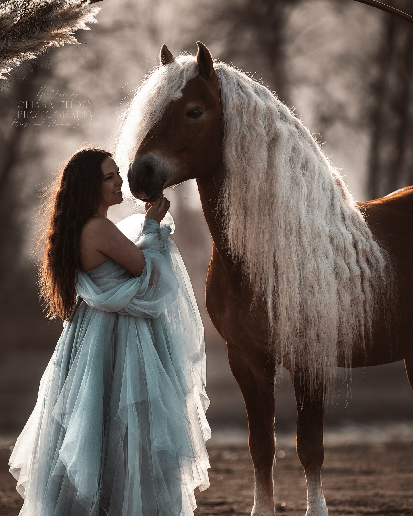 MAXIME & ANSGAR ✨💓🦄💫☀️
Im Zauberlicht beim Mountainlove Portfoliotag in Füssen 📸🦄💫🏰🏔️
Canon R6 II
Sigma 120-300 2.8
👗 @kh.fashionhouse
(C)pferdelinse