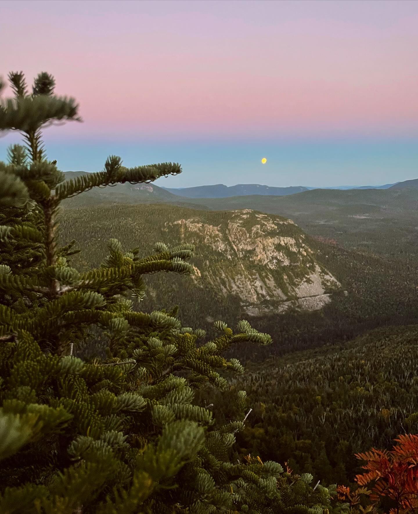 Did you know? The next full moon will start tomorrow, Wednesday, Jan. 24th - Thursday, Jan. 25th.
January's full moon is also known as the Wolf Moon. It was named this because wolves seem to howl more often in the winter months. 🌓 🌔 🌕️ 🌖 🌗
I've heard that full moons are a great time for manifestation. The general idea of manifesting (from my limited understanding) is that by focusing your attention on a particular area of your life, visualizing what you want, and asking the universe to provide, you will subconsciously work toward that goal and thus achieve it. Or more simply, "if you think it, it will come."
Although manifesting may be helpful, I think it's important to also make a real-life plan and directly take action toward your goals. Don't leave everything to hope.
I guess some say that manifesting isn't about "getting"—it's about "allowing." To me, manifesting is a way to stay focused and can help build confidence.
What are your thoughts on manifesting? 🤔💭✨️