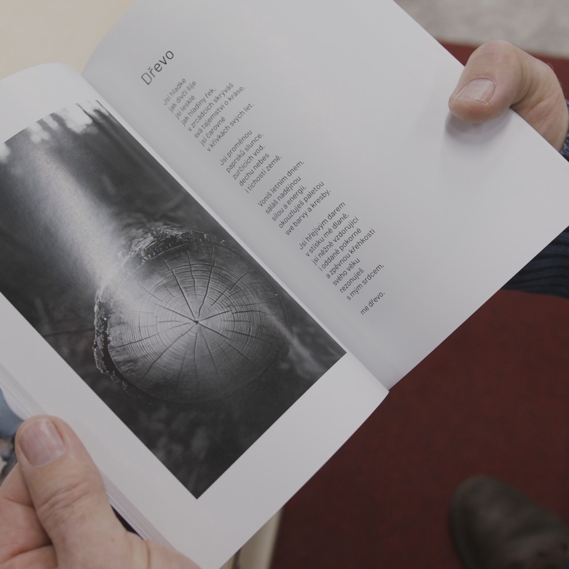 Městská knihovna ve Svitavách nedávno představila dvě knížky místního autora, o dřevu.
https://youtu.be/xTZRzYl46u0