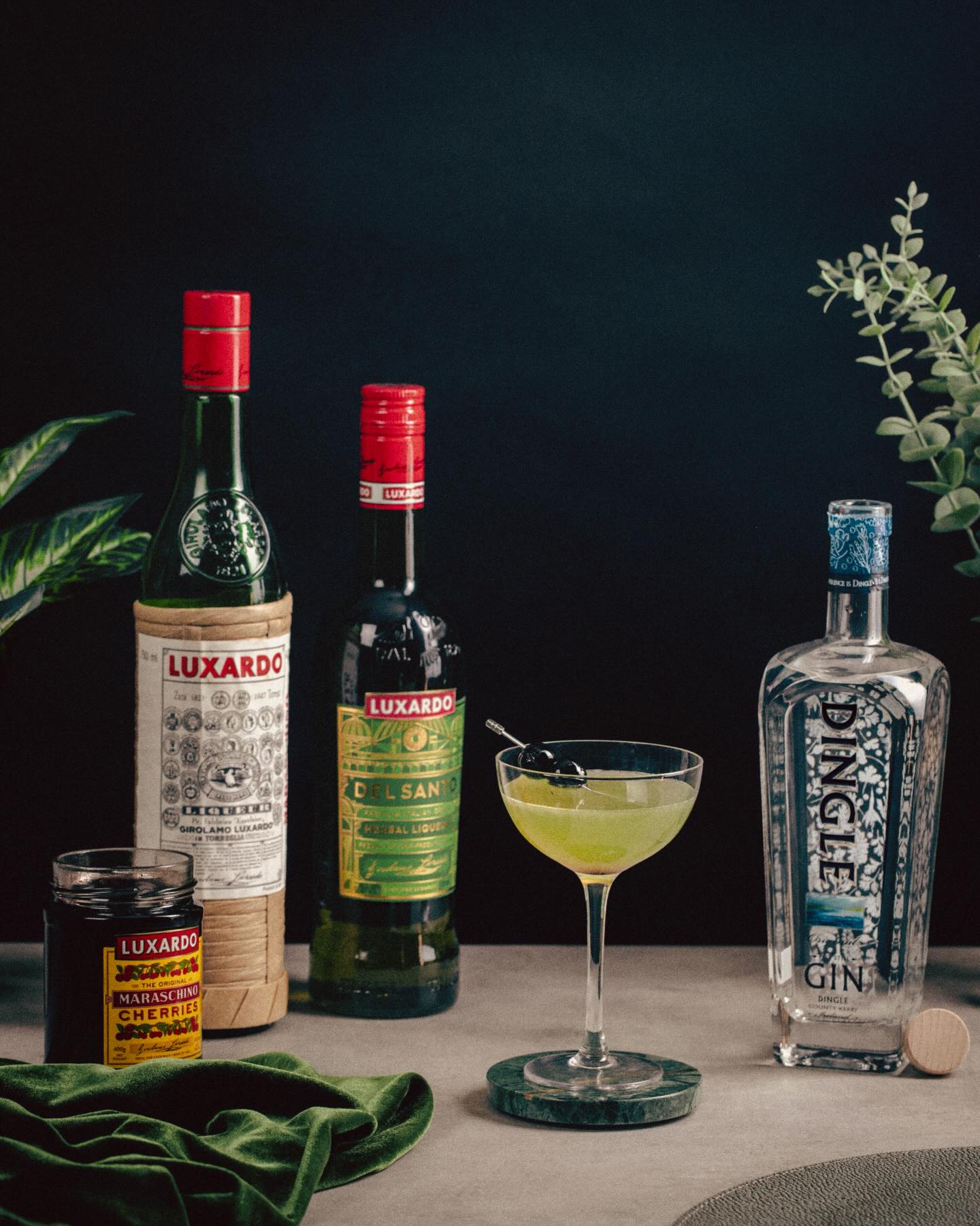 Irish goodbye? we prefer an Irish Exit 🍀The Irish Exit brings together bright citrus, herbal depth, and a touch of Italian character with Luxardo Del Santo alongside the crisp botanicals of @dingledistillery Irish Gin. Smooth, refreshing, and just the right amount of unexpected for St. Patrick’s Day celebrations.