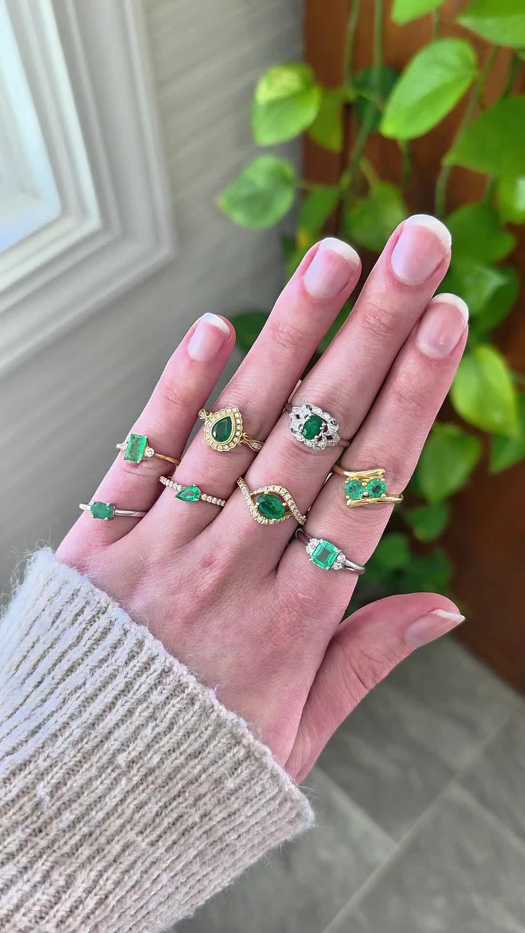 Don't forget to wear your green today ๐๐