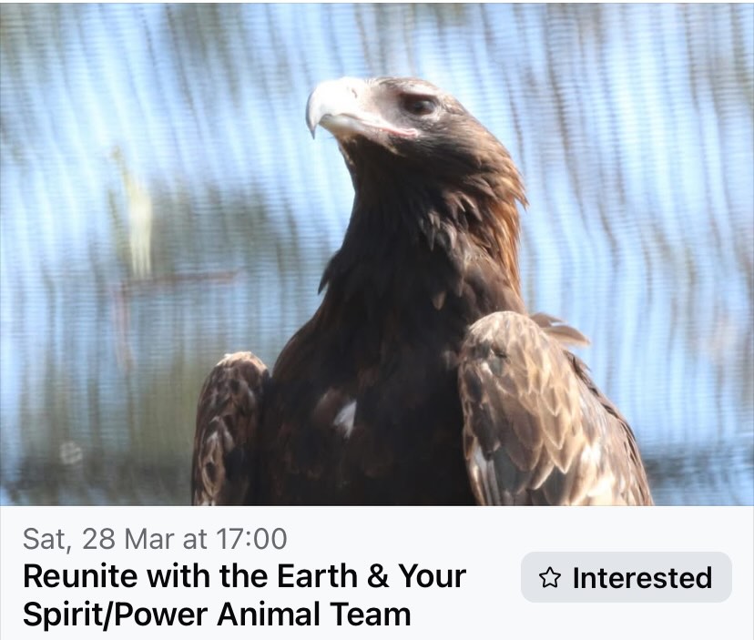 9 Days to go! Dont miss out!
Last opportunity to meet your animals in this way as there wont be anymore events like this in person for a while due to an urgent change in circumstances!
Book tickets www.secretanimalwisdom.com/events
#lastchance #changeyourlifenow #lifechangingopportunity #poweranimals #takeyourpowerback